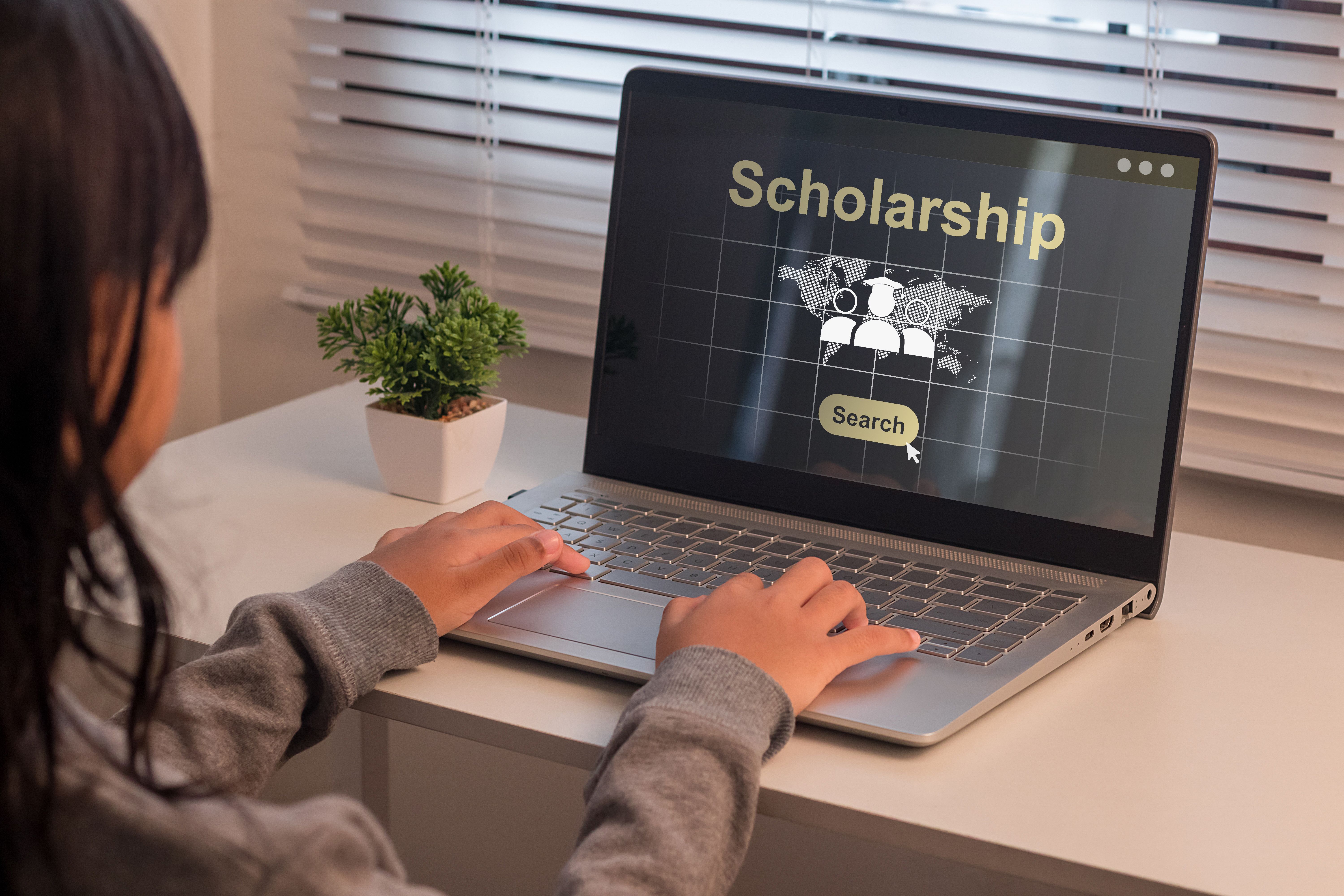 scholarship opportunities