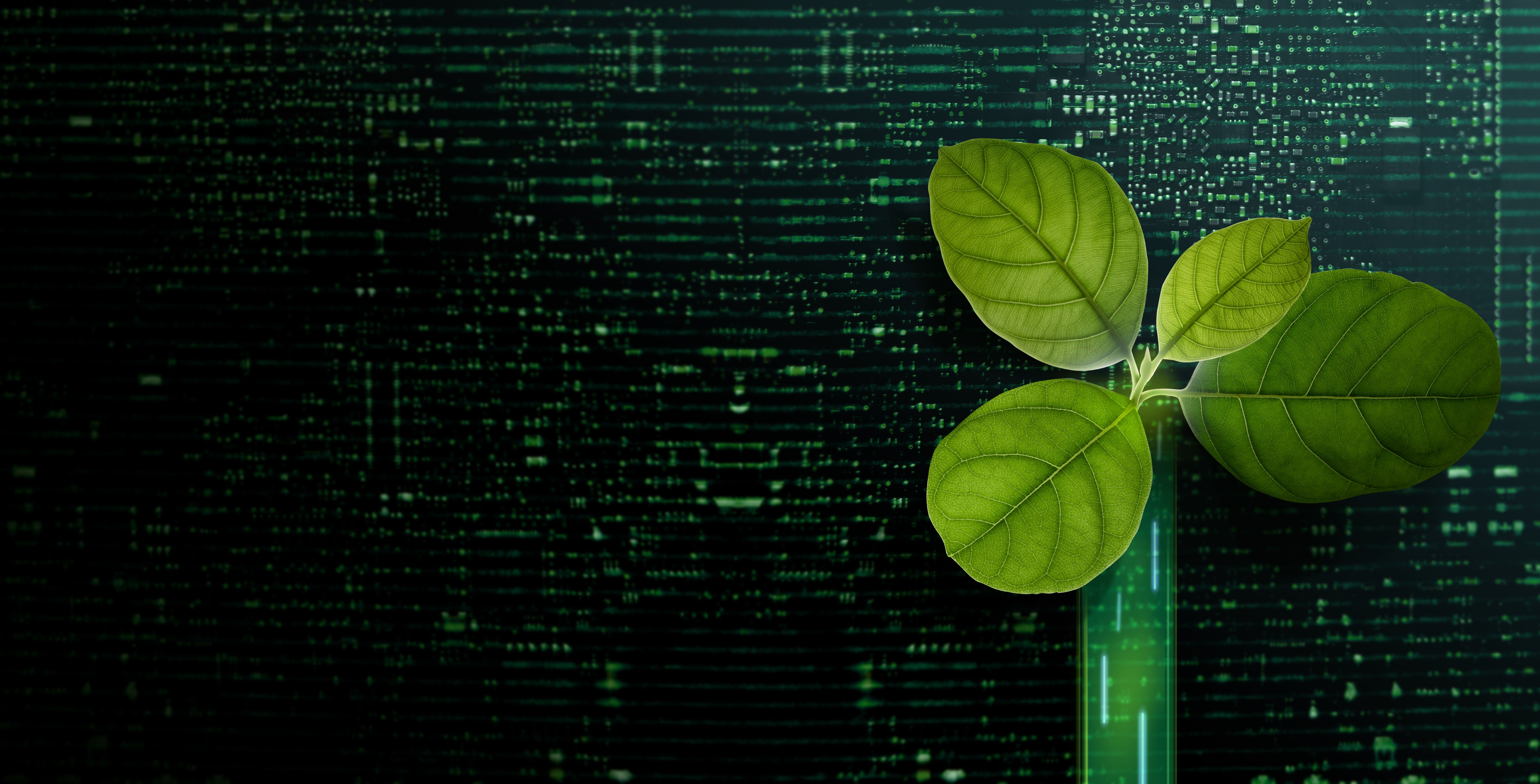 sustainable blockchain