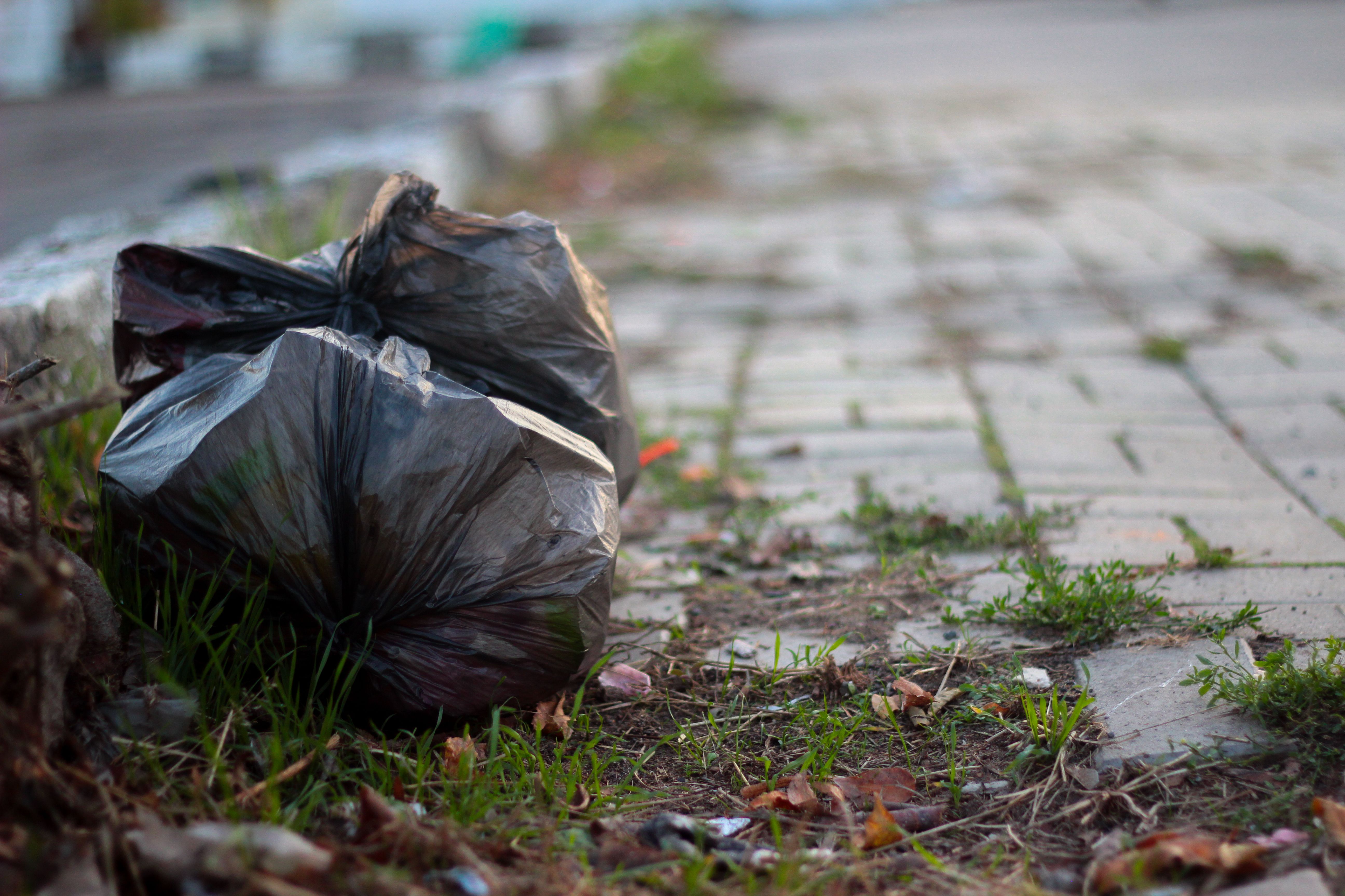 Waste is sorted into black bags. Lying on the side of the road, ready for disposal