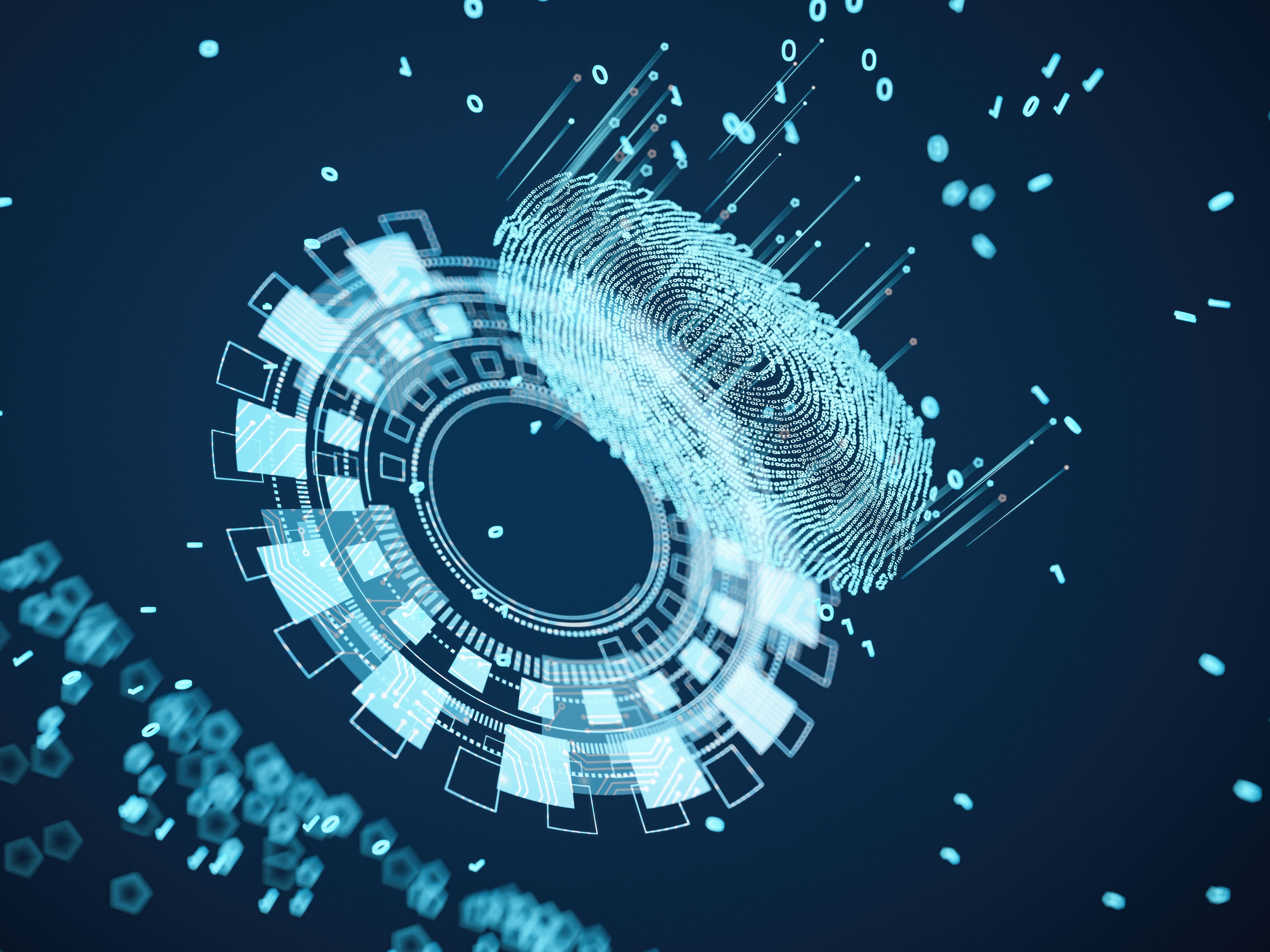 fingerprinting process