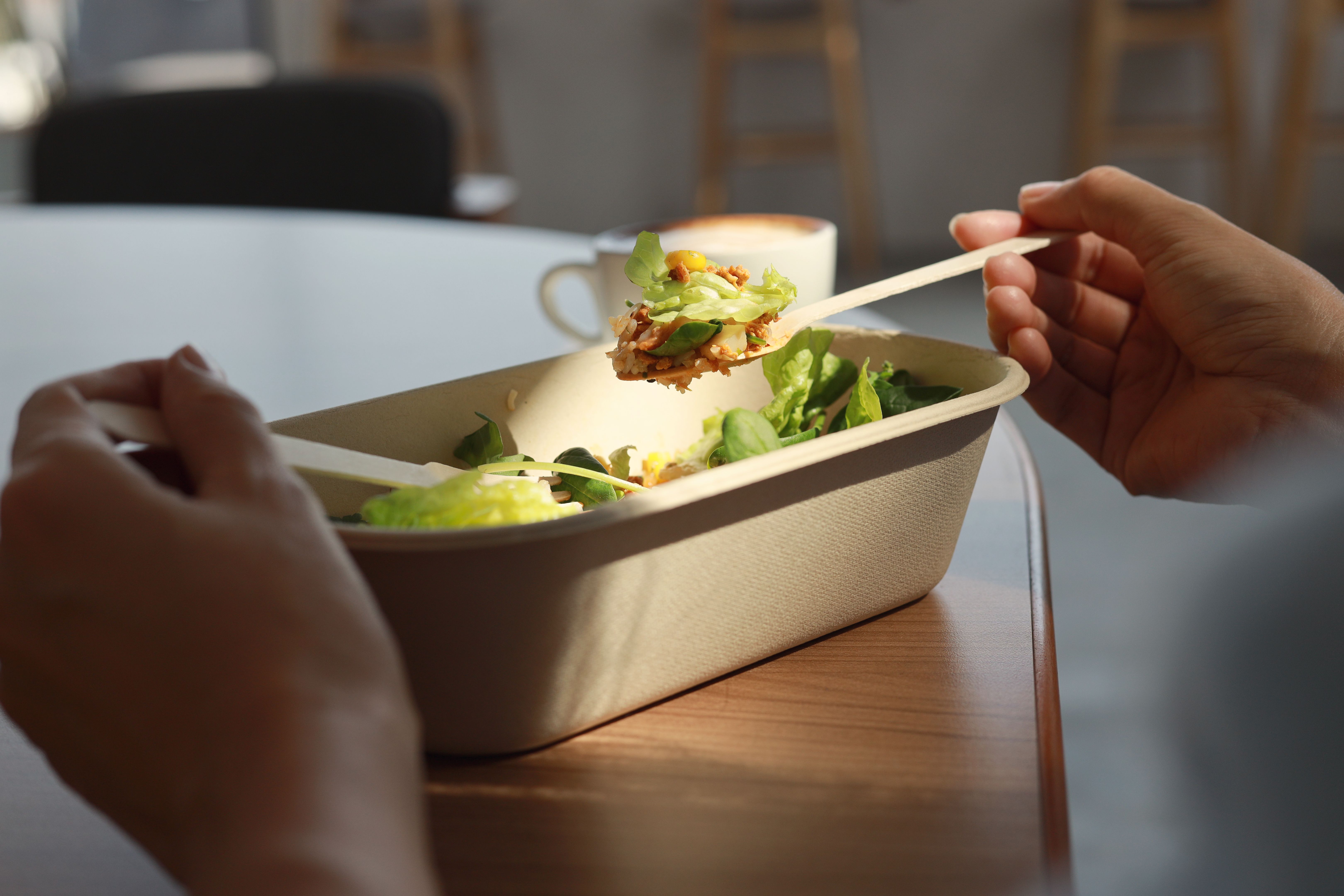 disposable meal box