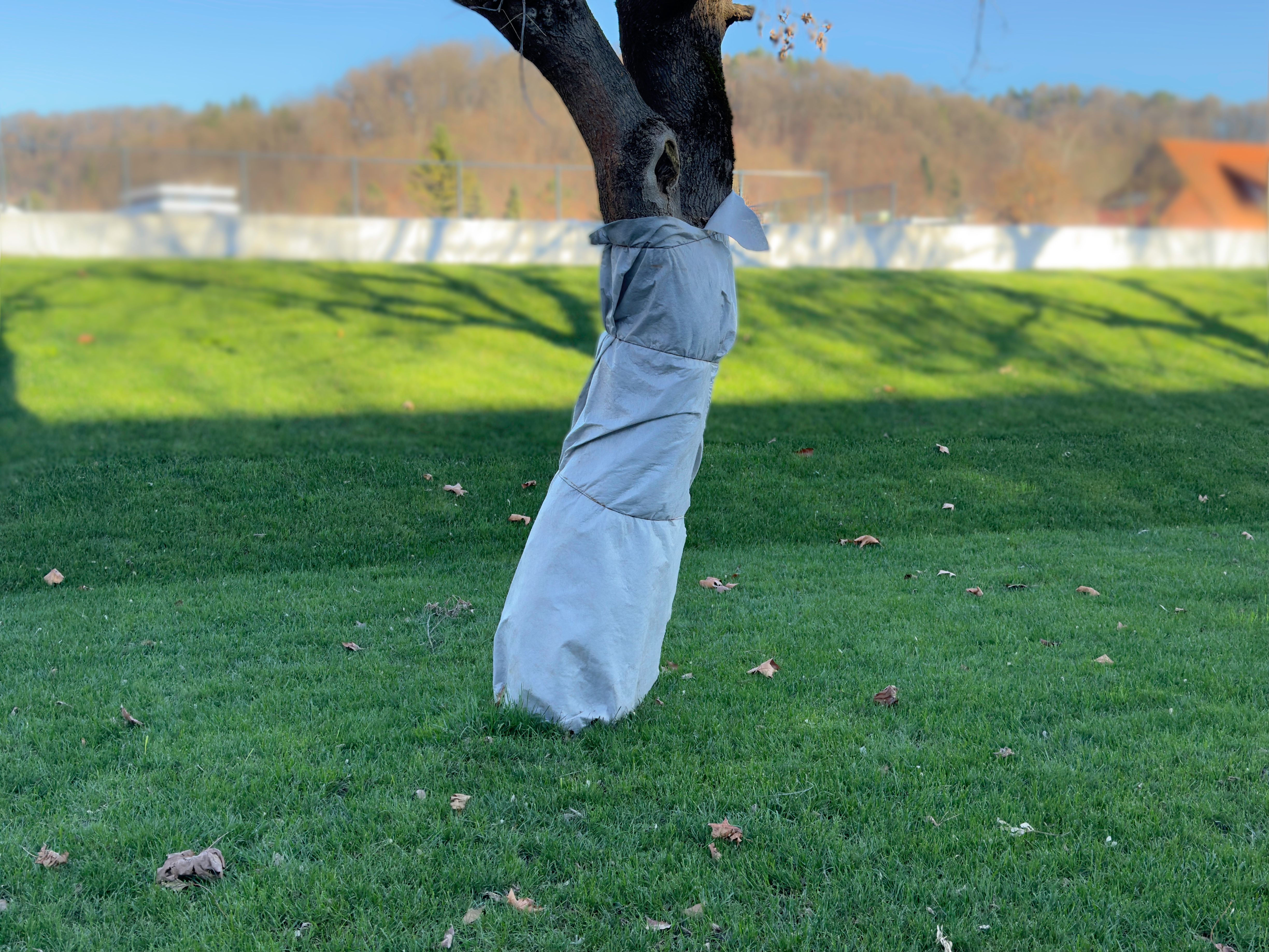 winter lawn protection