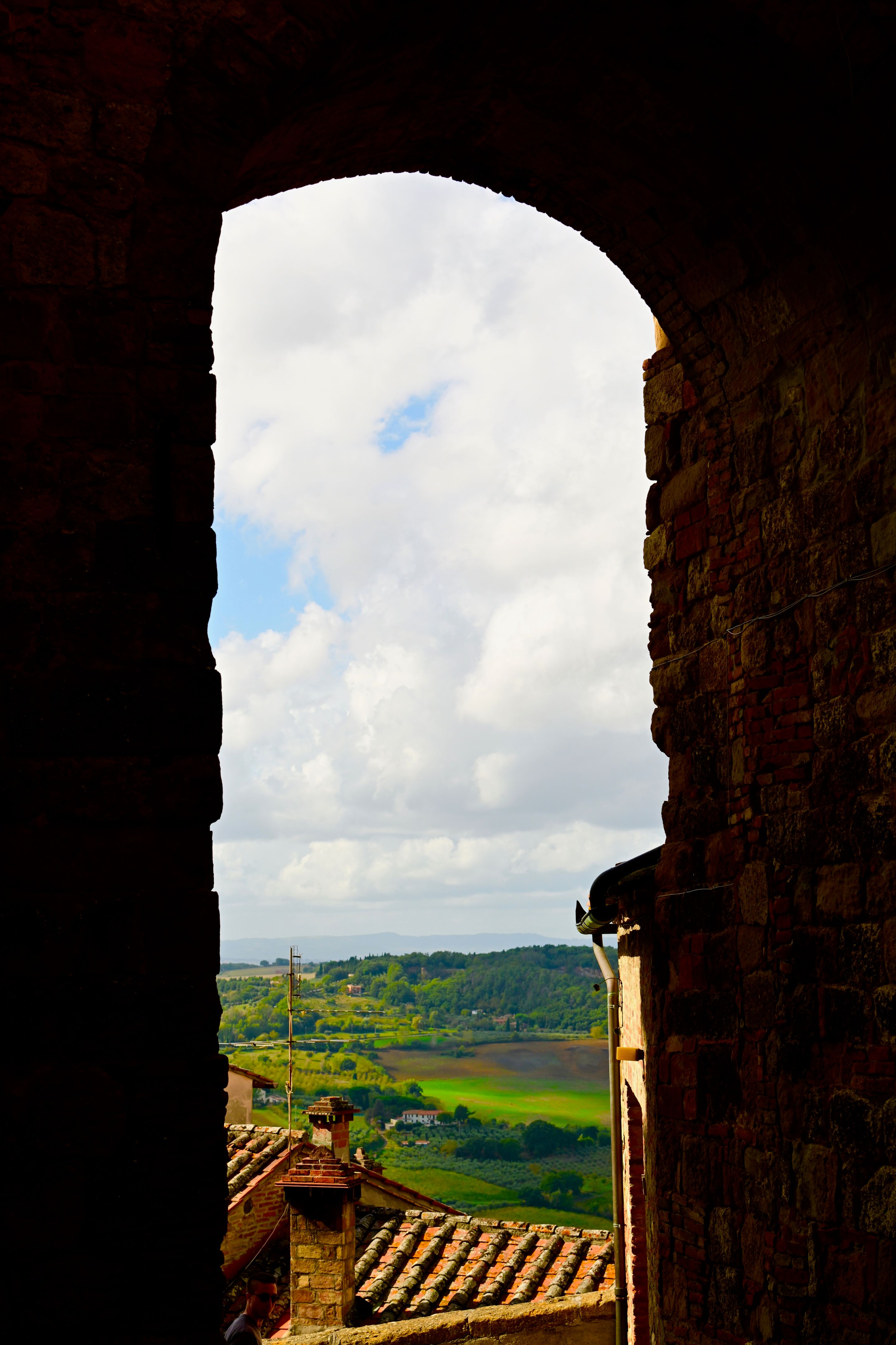 montepulciano vineyards