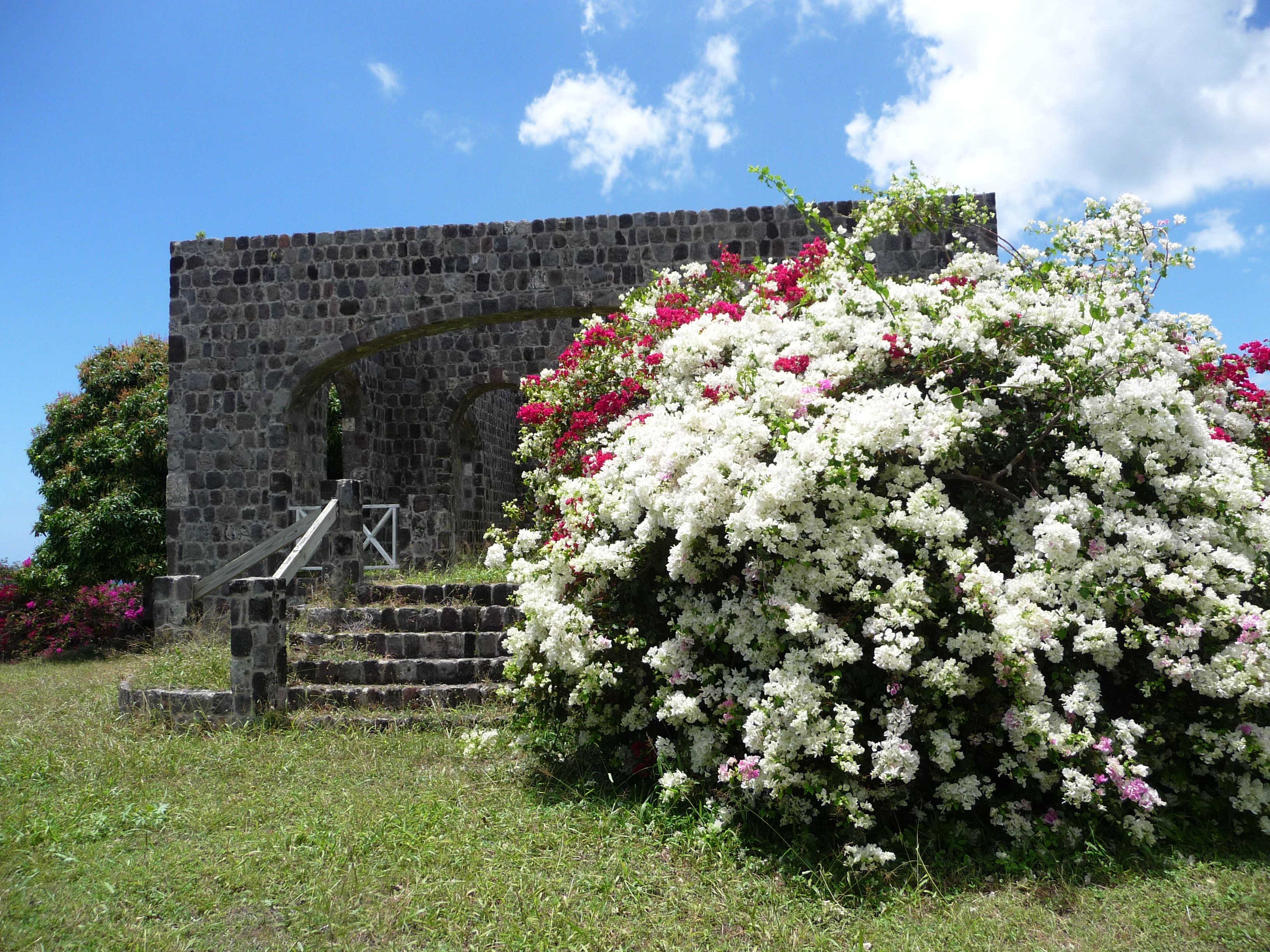 legal framework Nevis