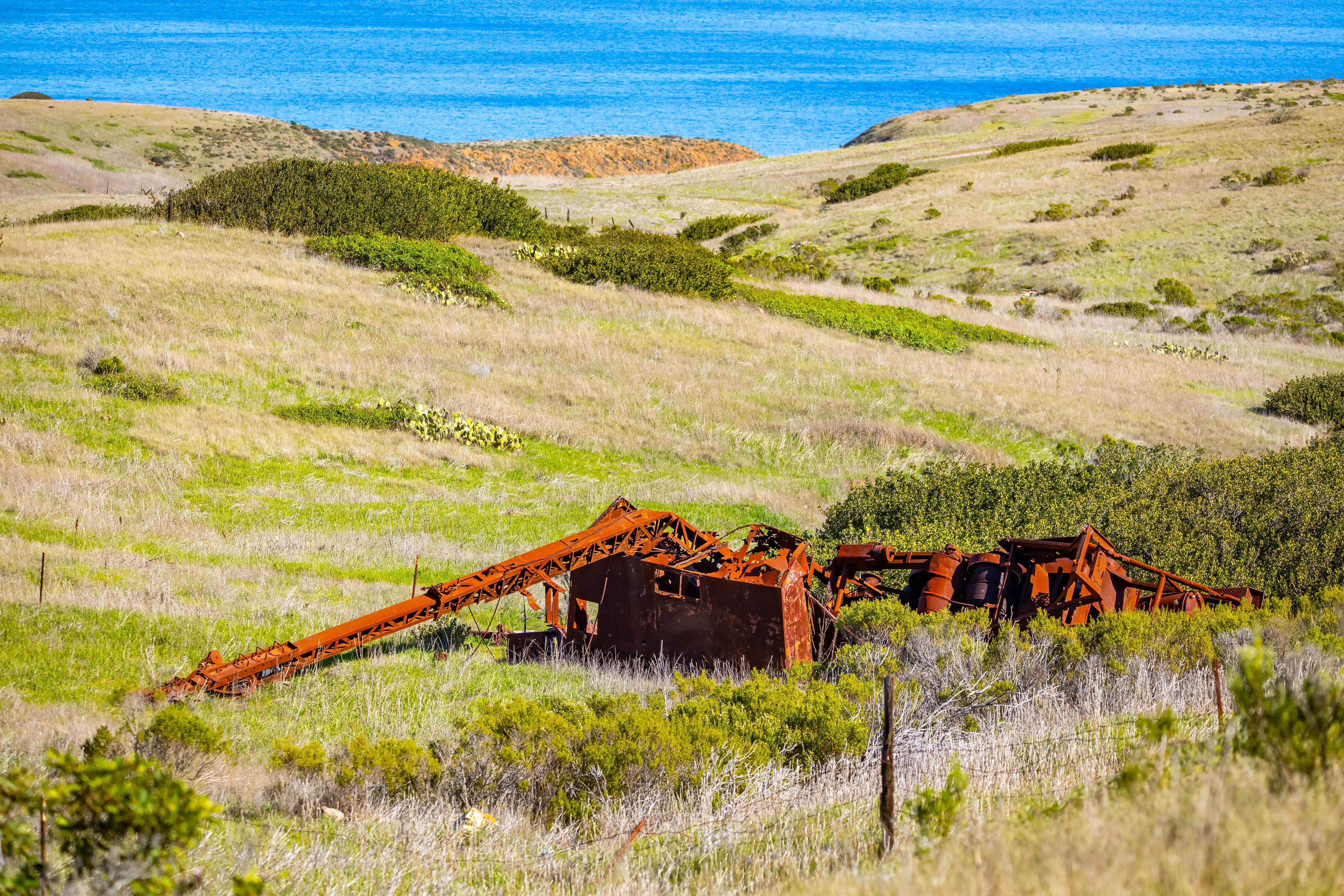 california market research