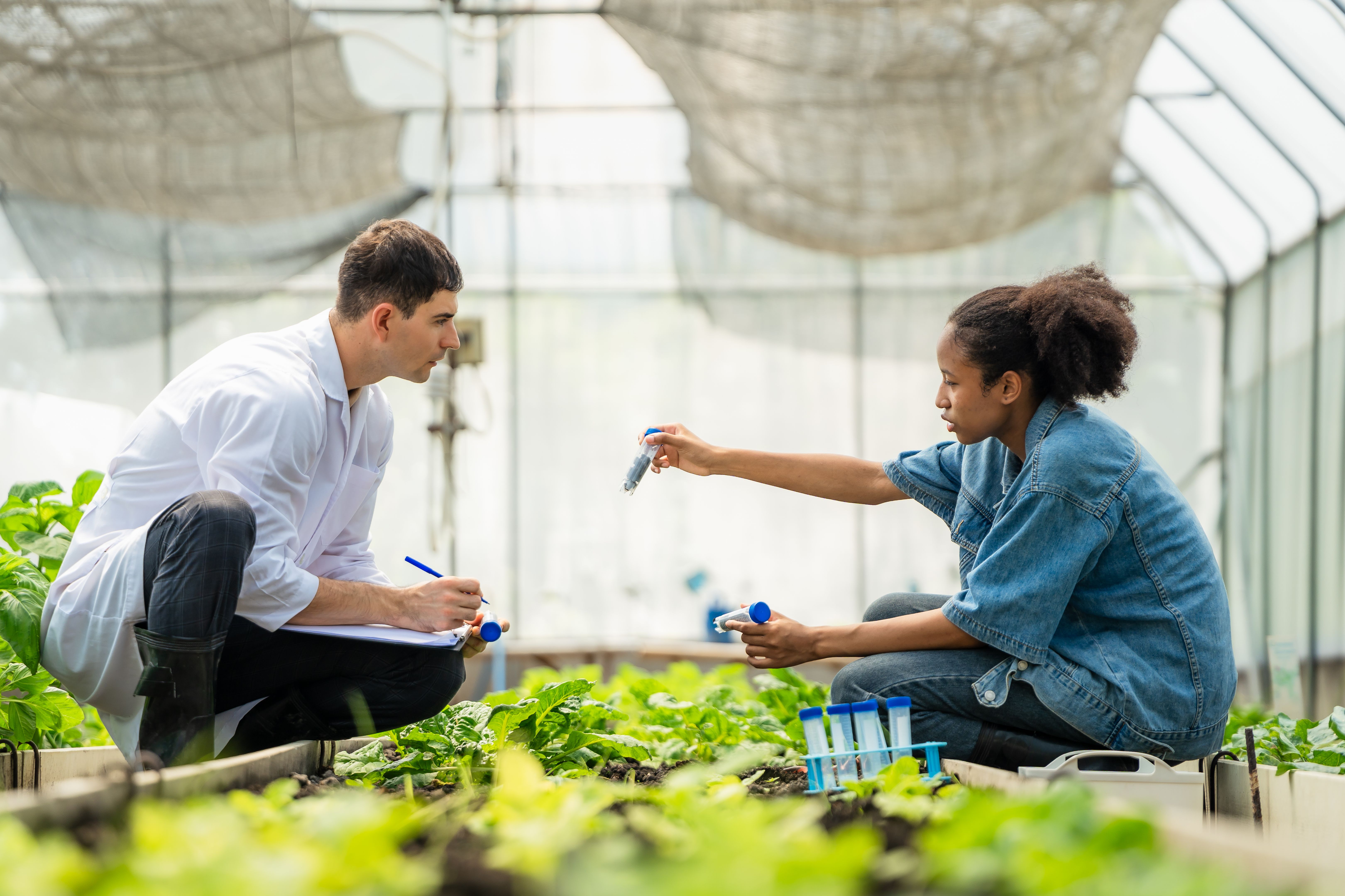international trainees agriculture