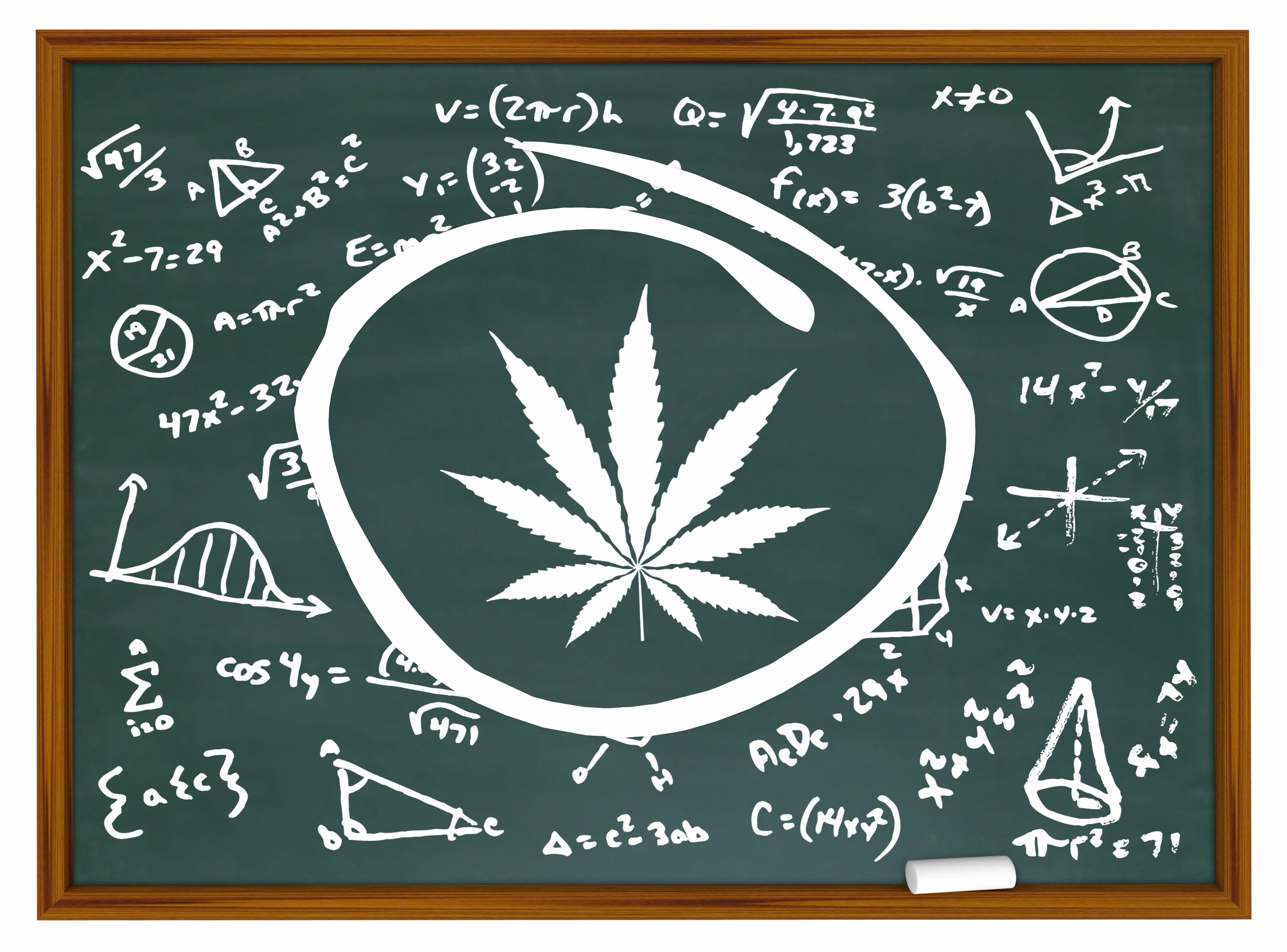 cannabis education