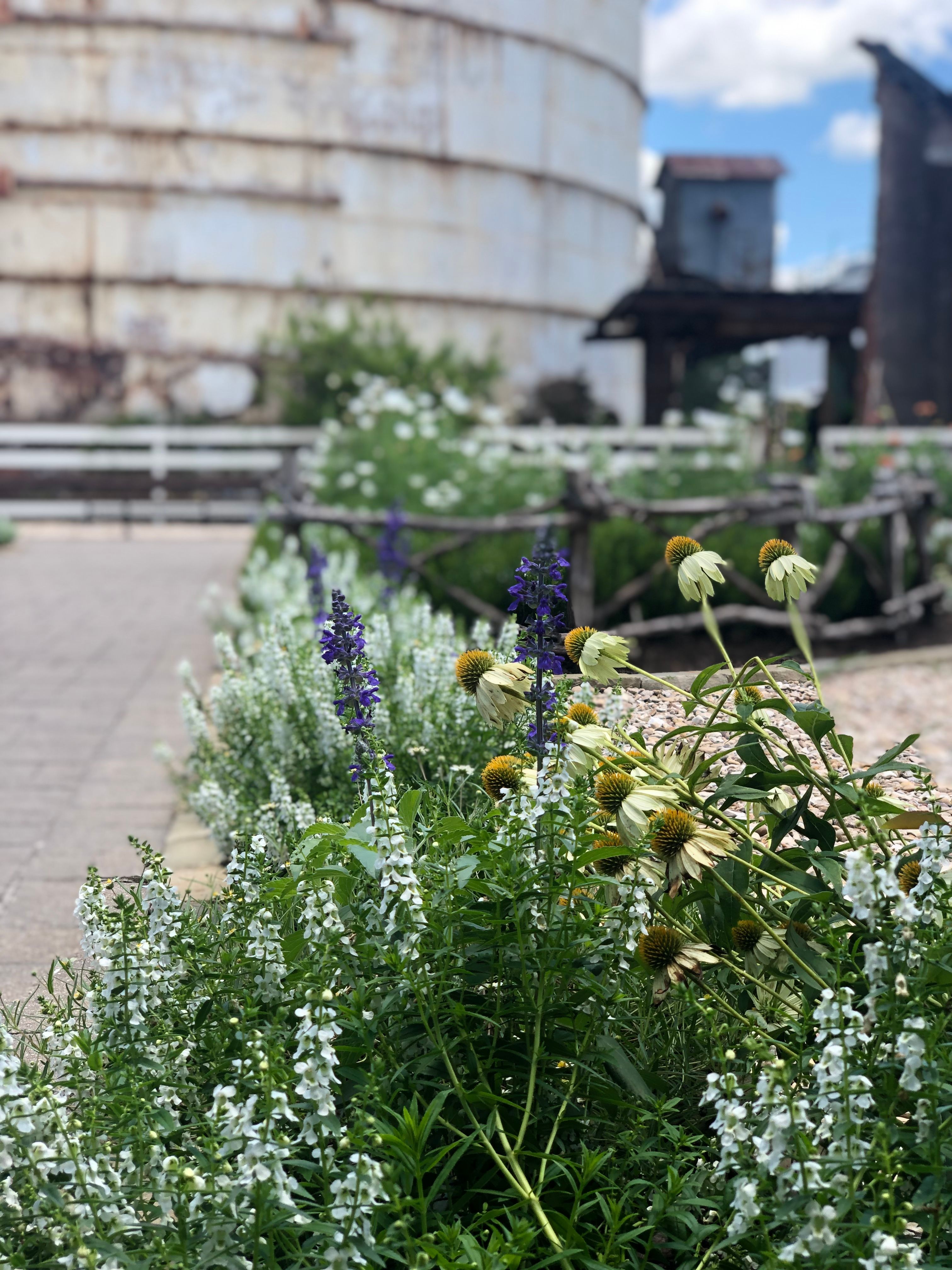 waco yard transformation