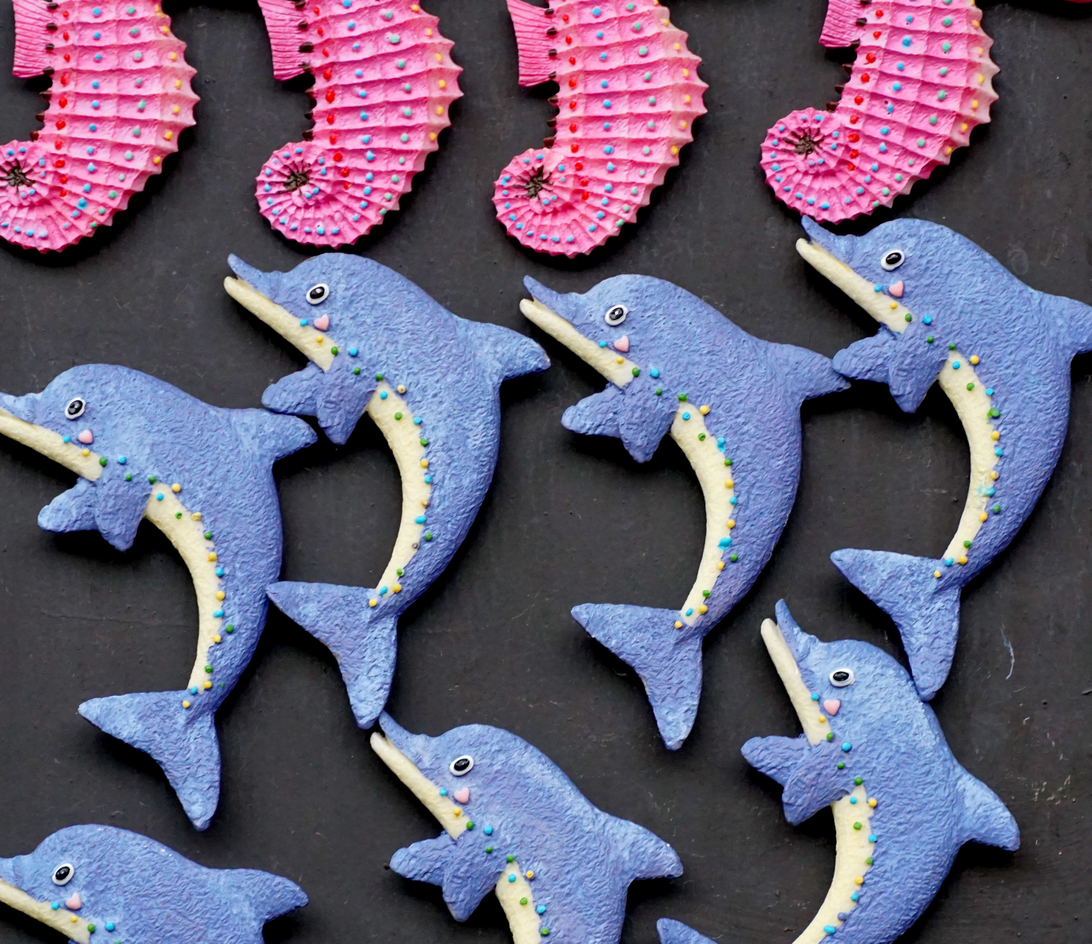 tropical climate refrigeration