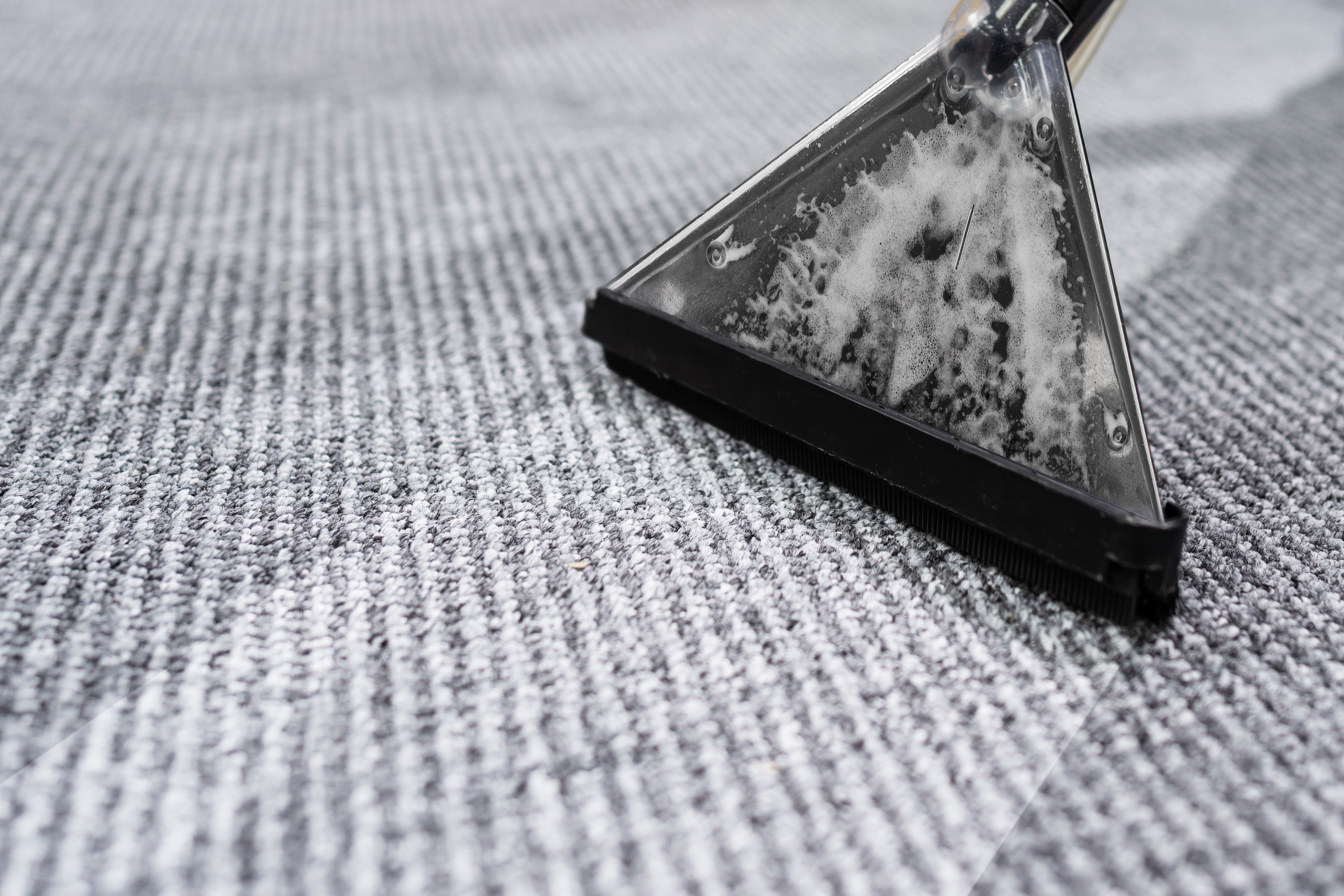 professional carpet cleaning
