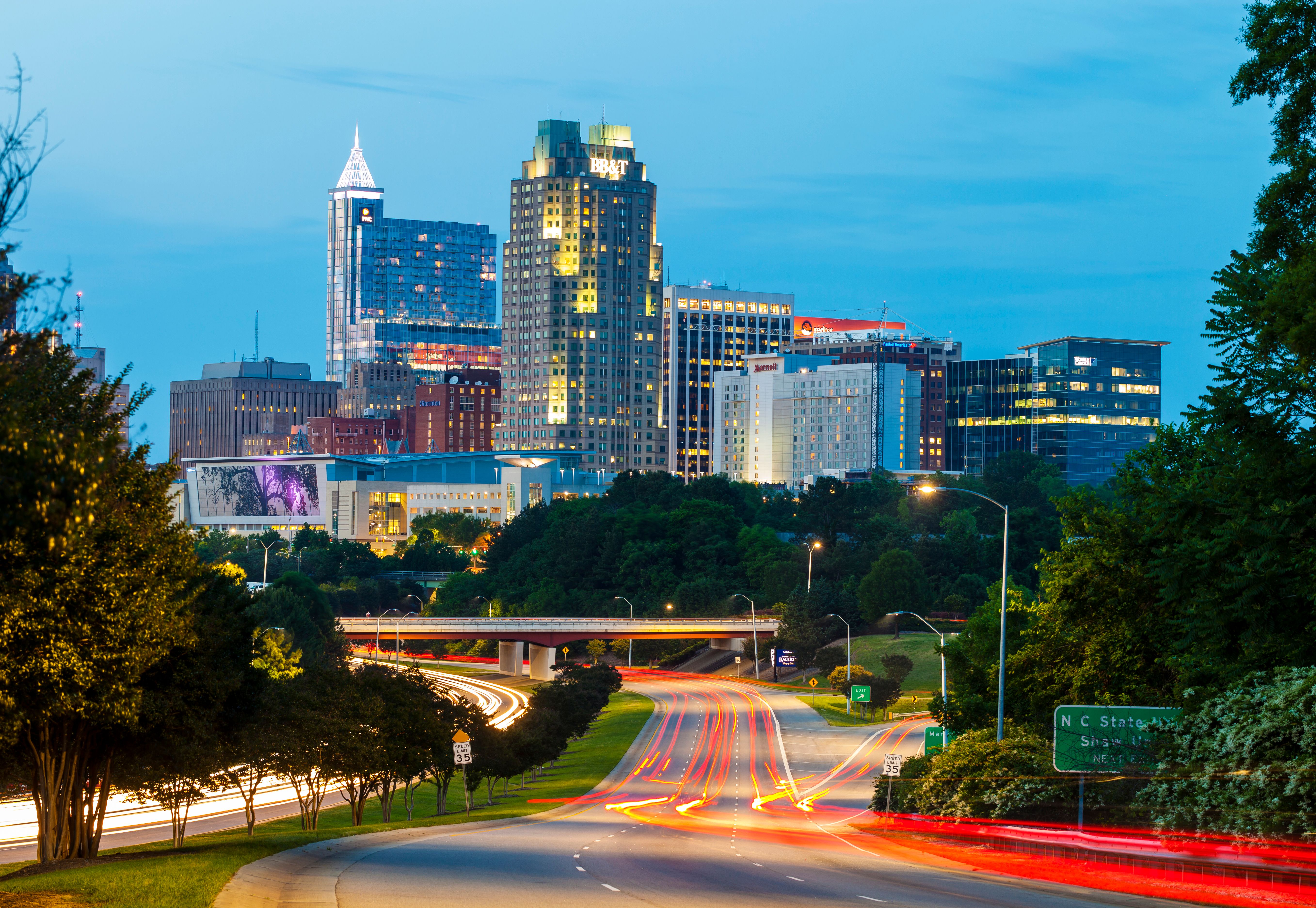 raleigh skyline