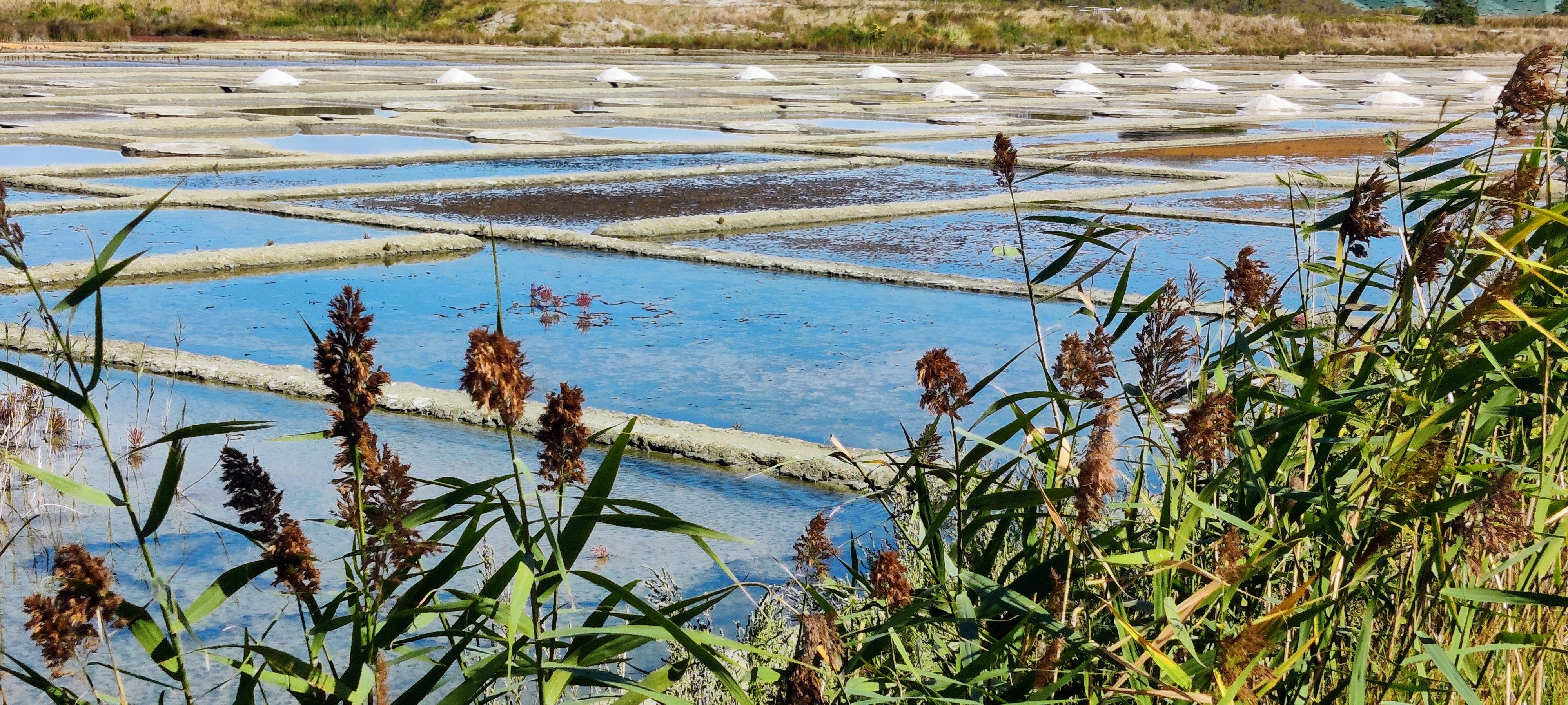 gastronomie bretagne