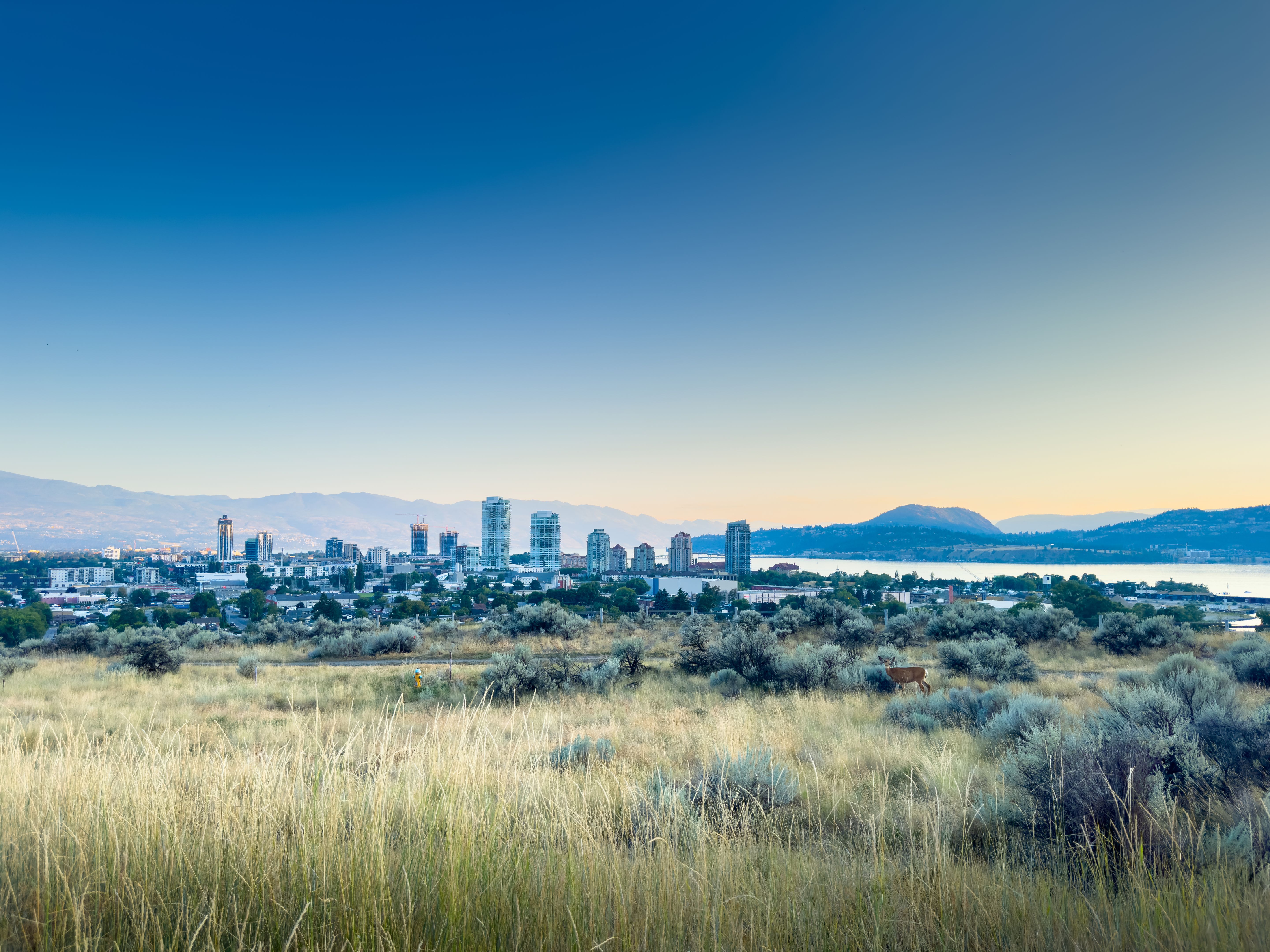 kelowna digital agency