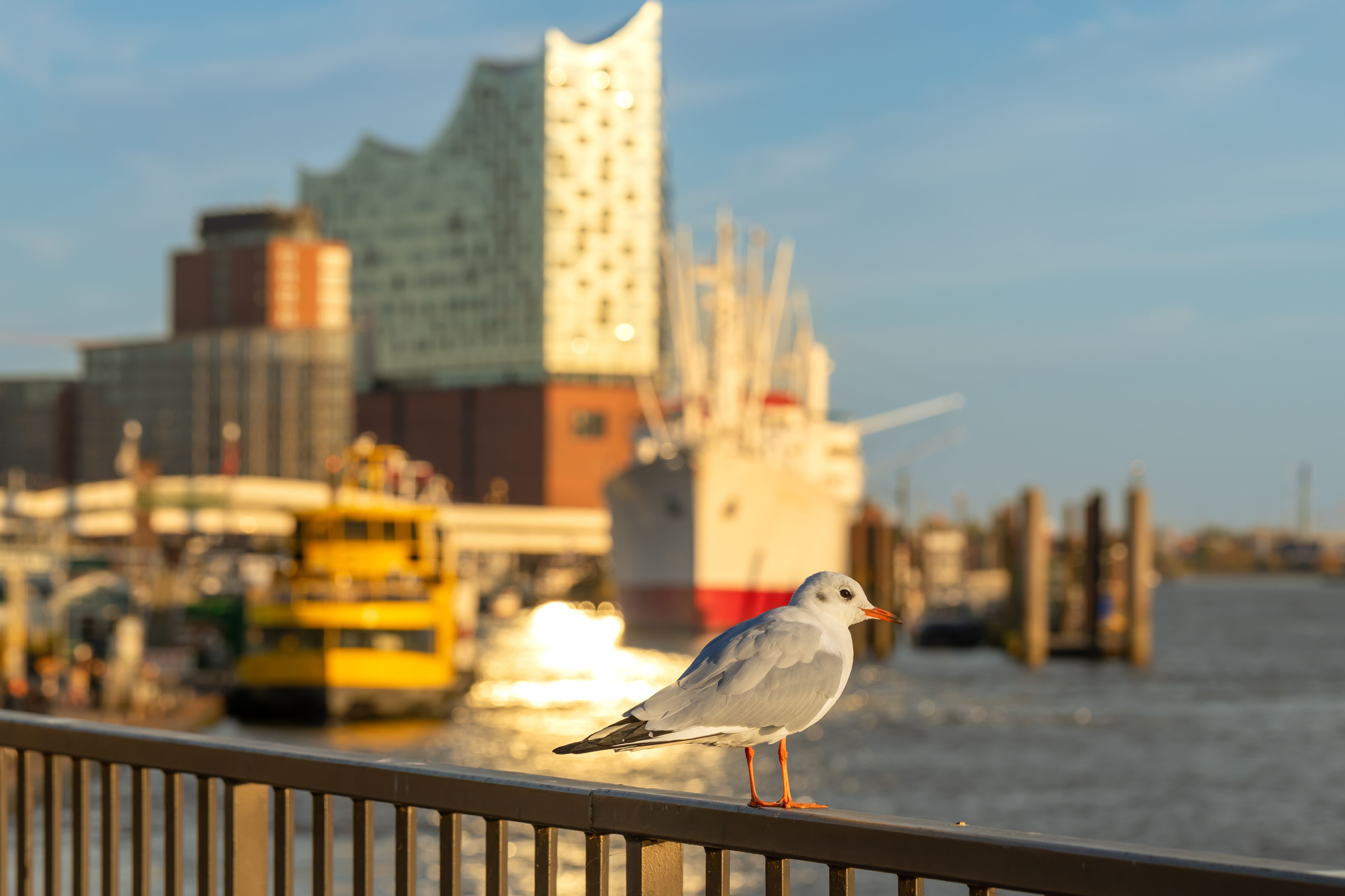 hamburg harbor