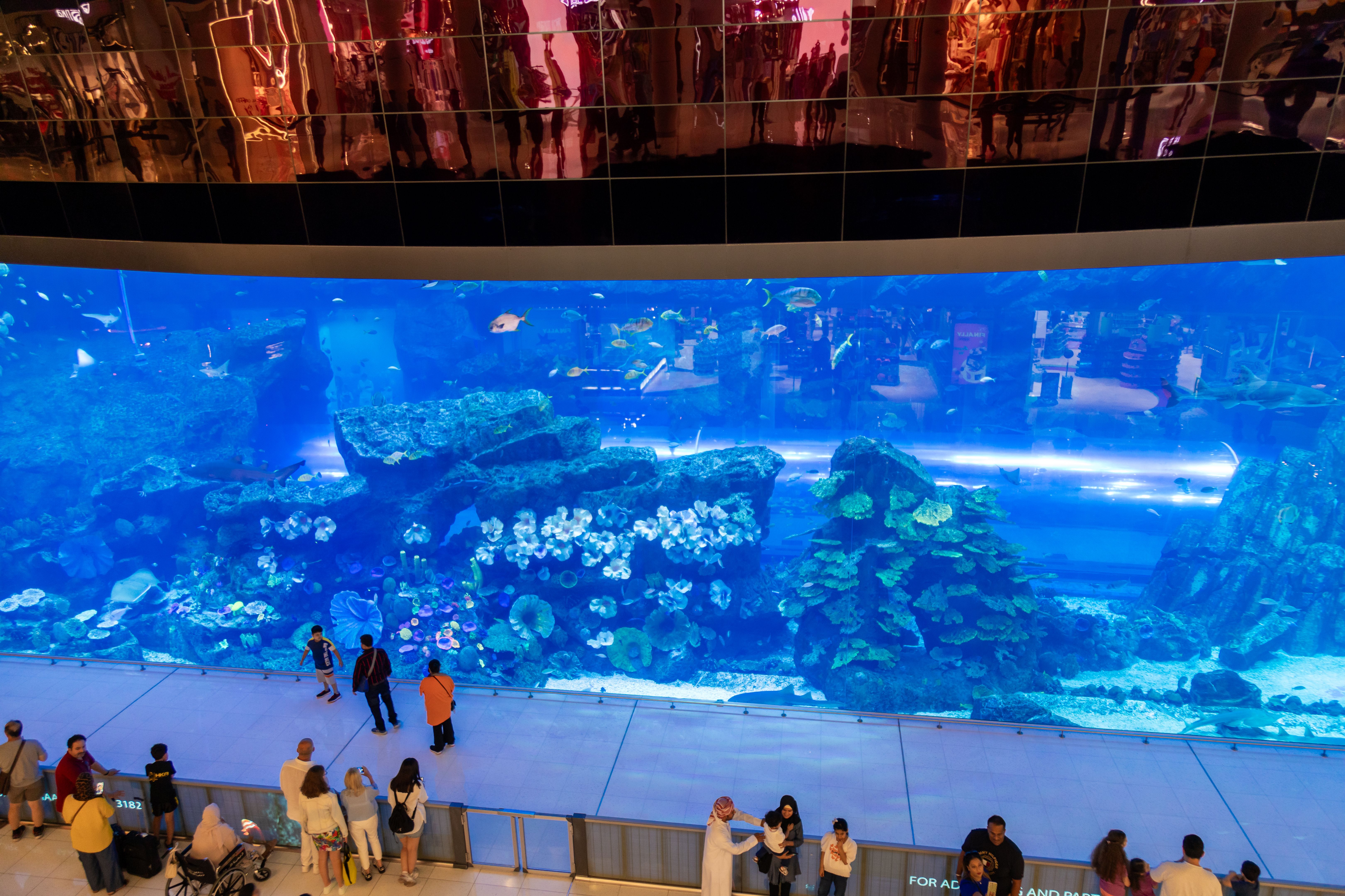 Dubai Aquarium