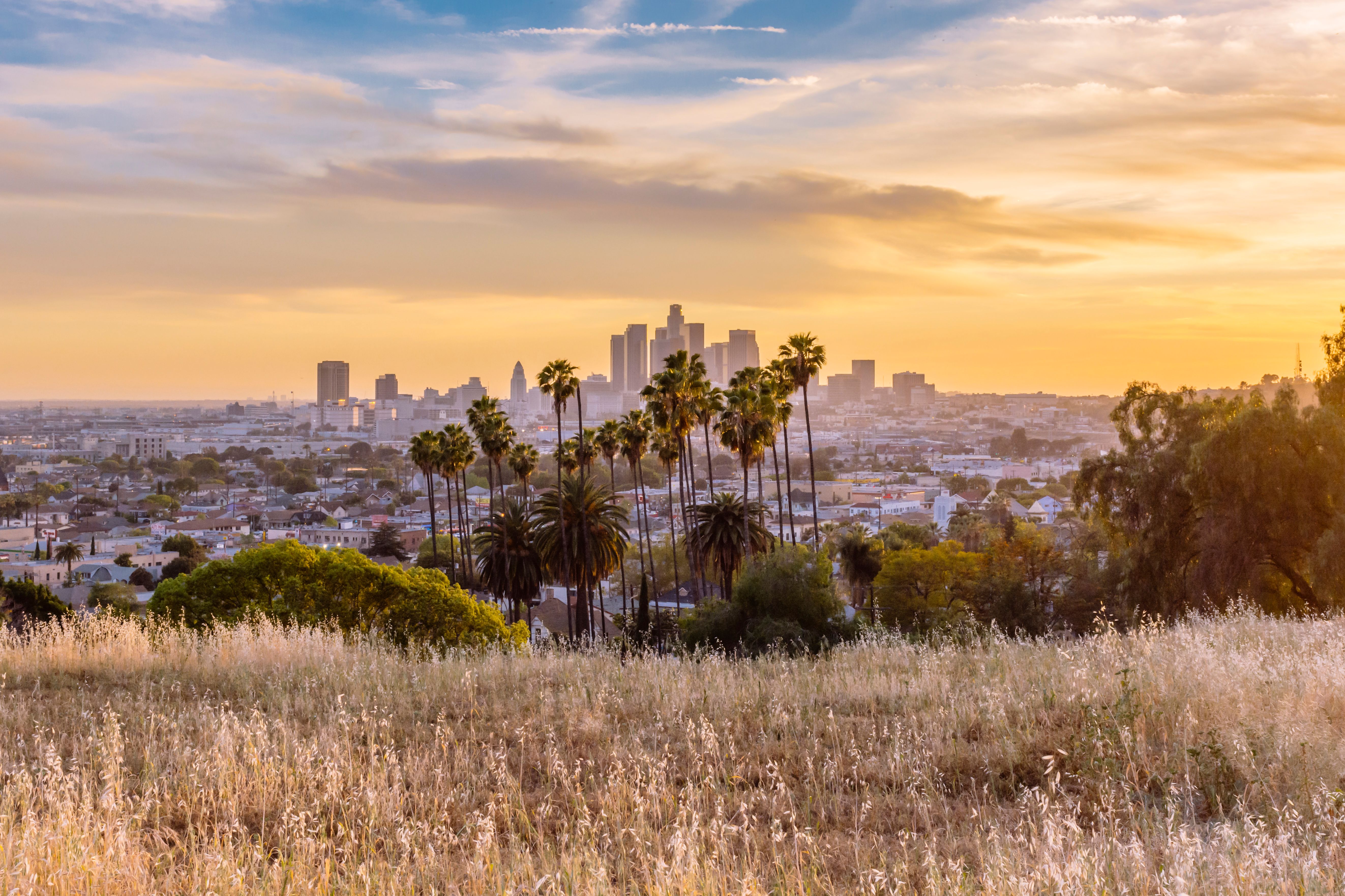los angeles skyline
