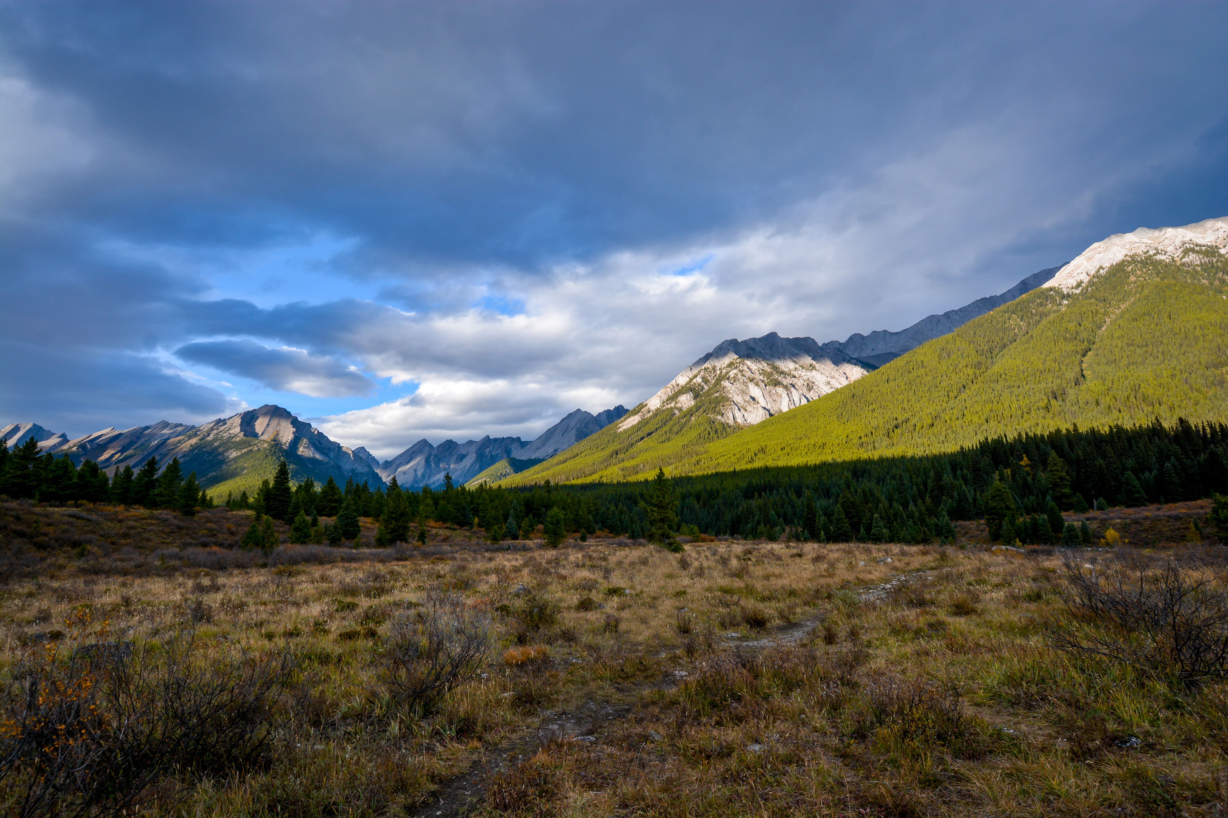 johnston county landscape