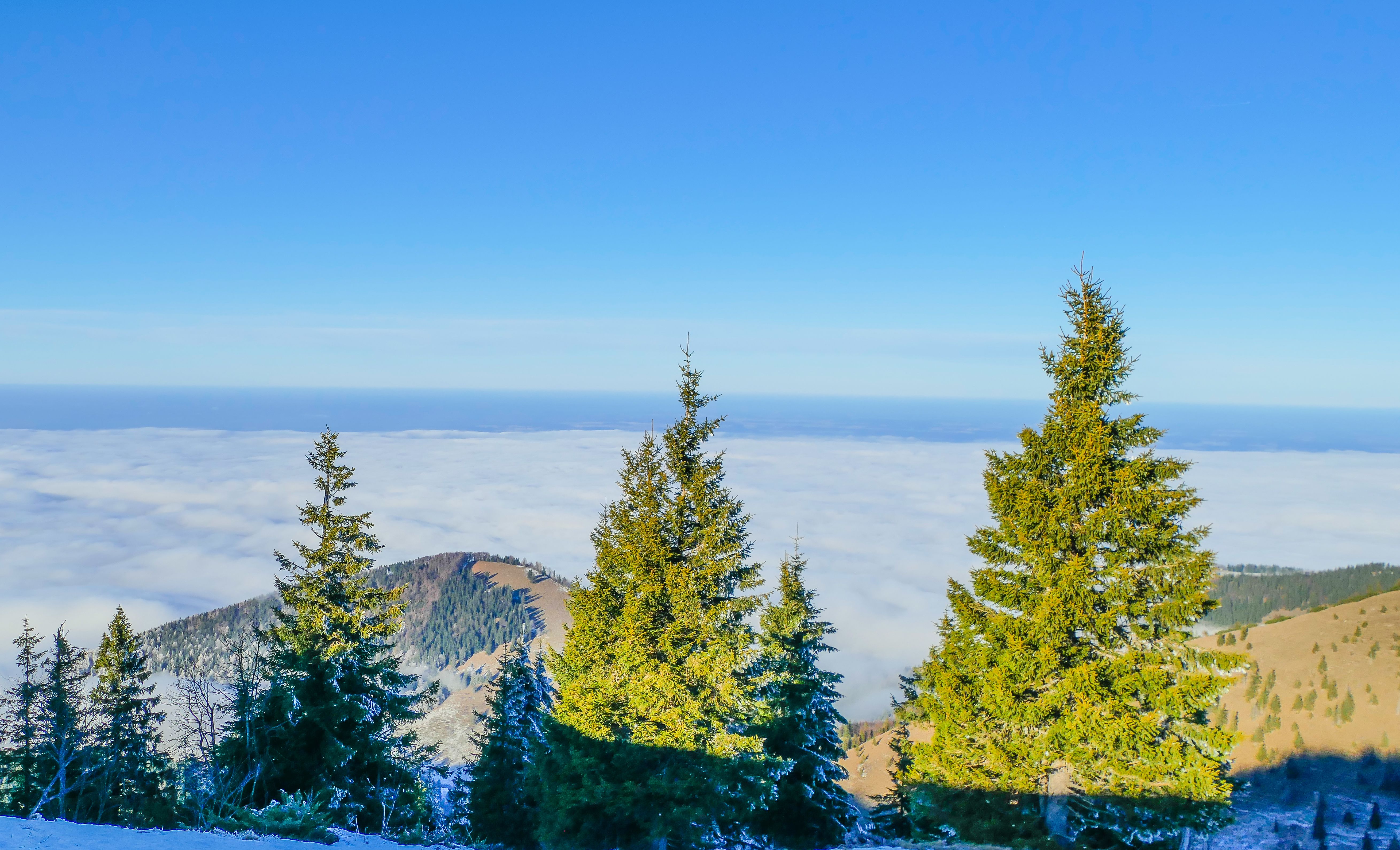 oberbayern landschaft