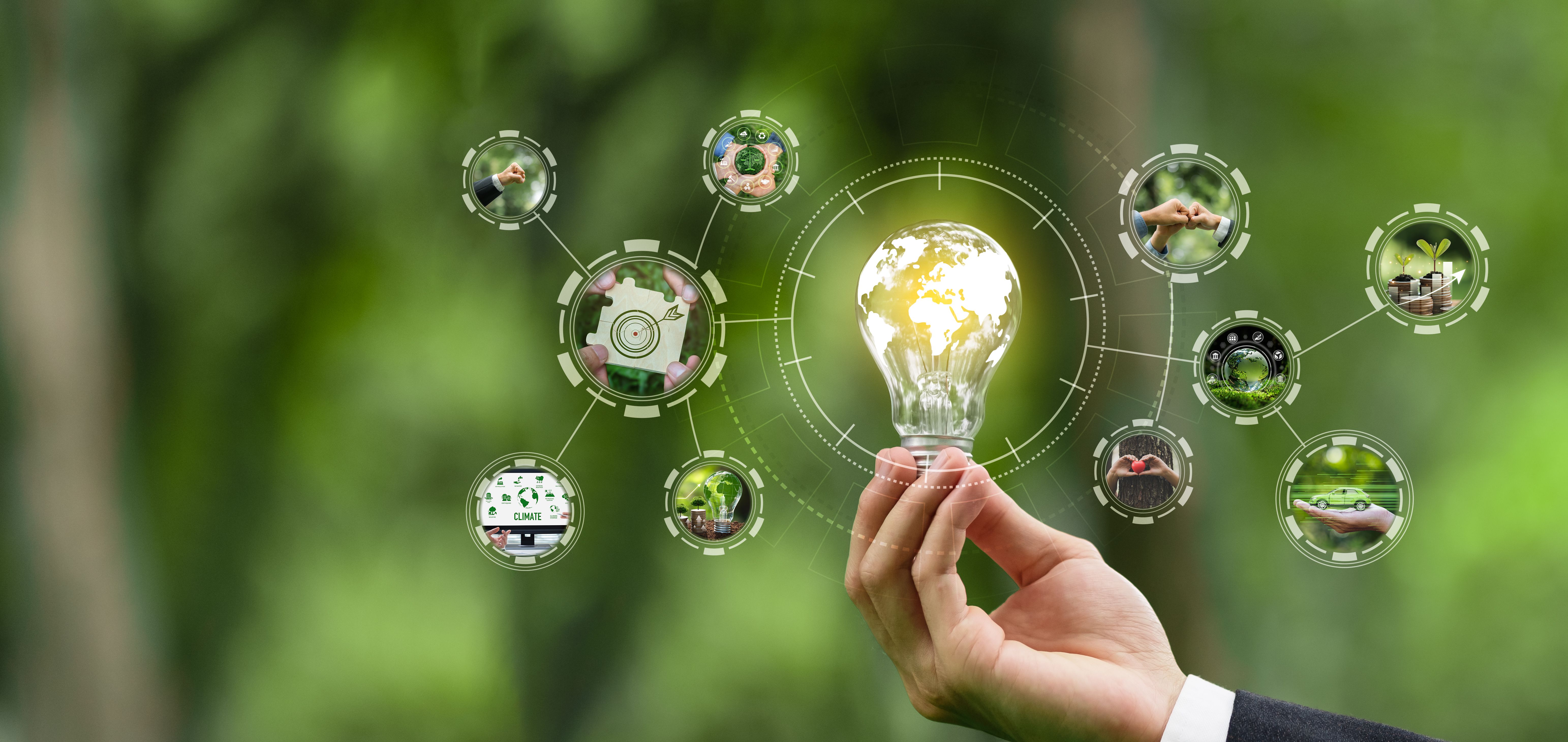 electronic payments florida