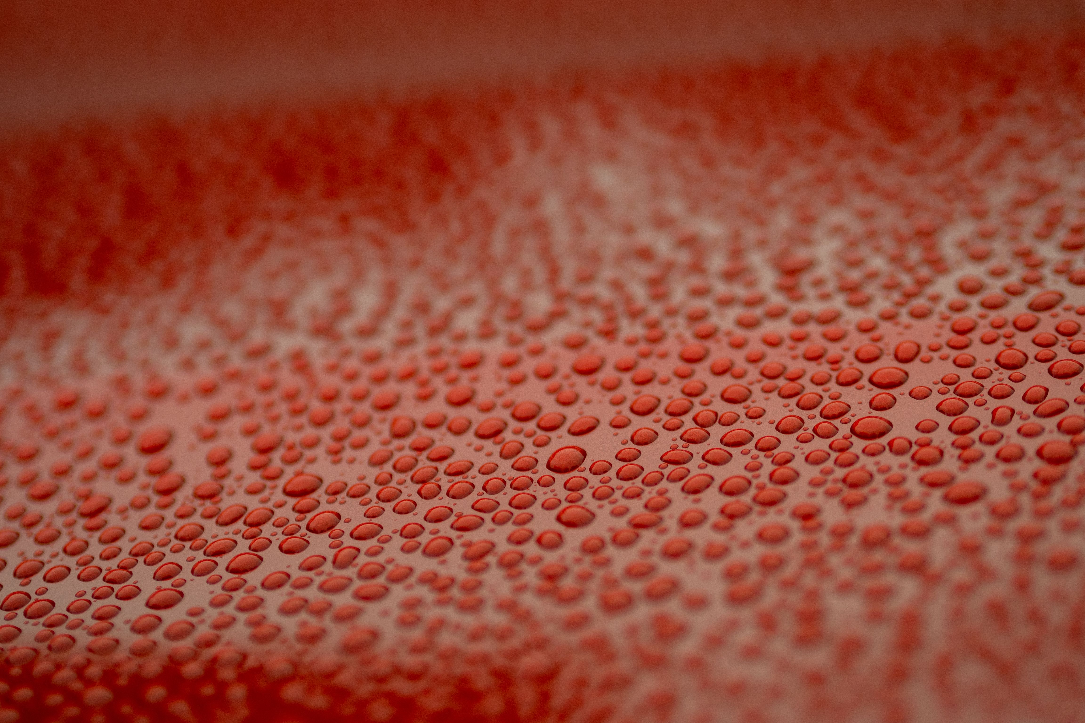 hydrophobic car surface