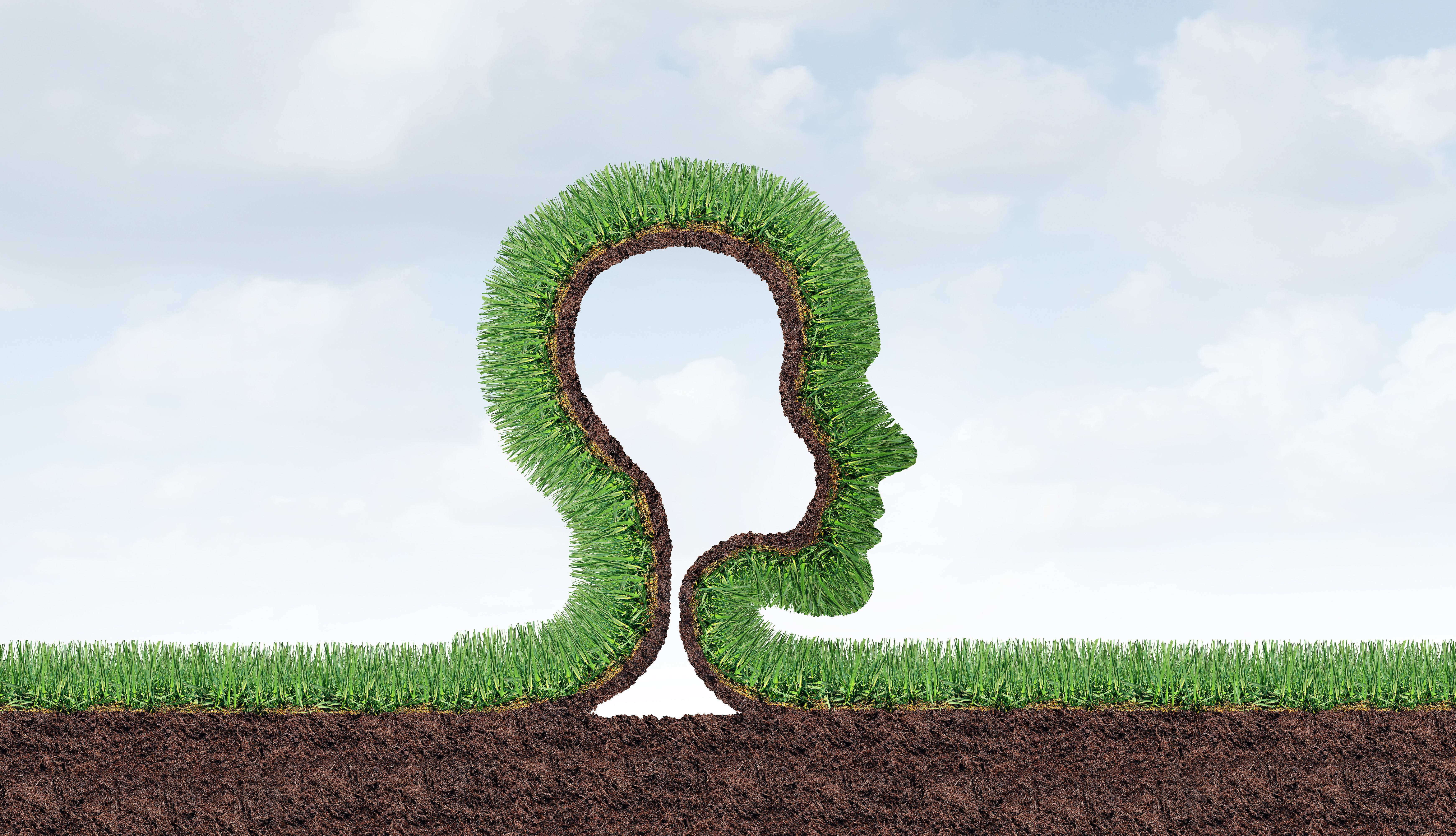 landscape design consultation