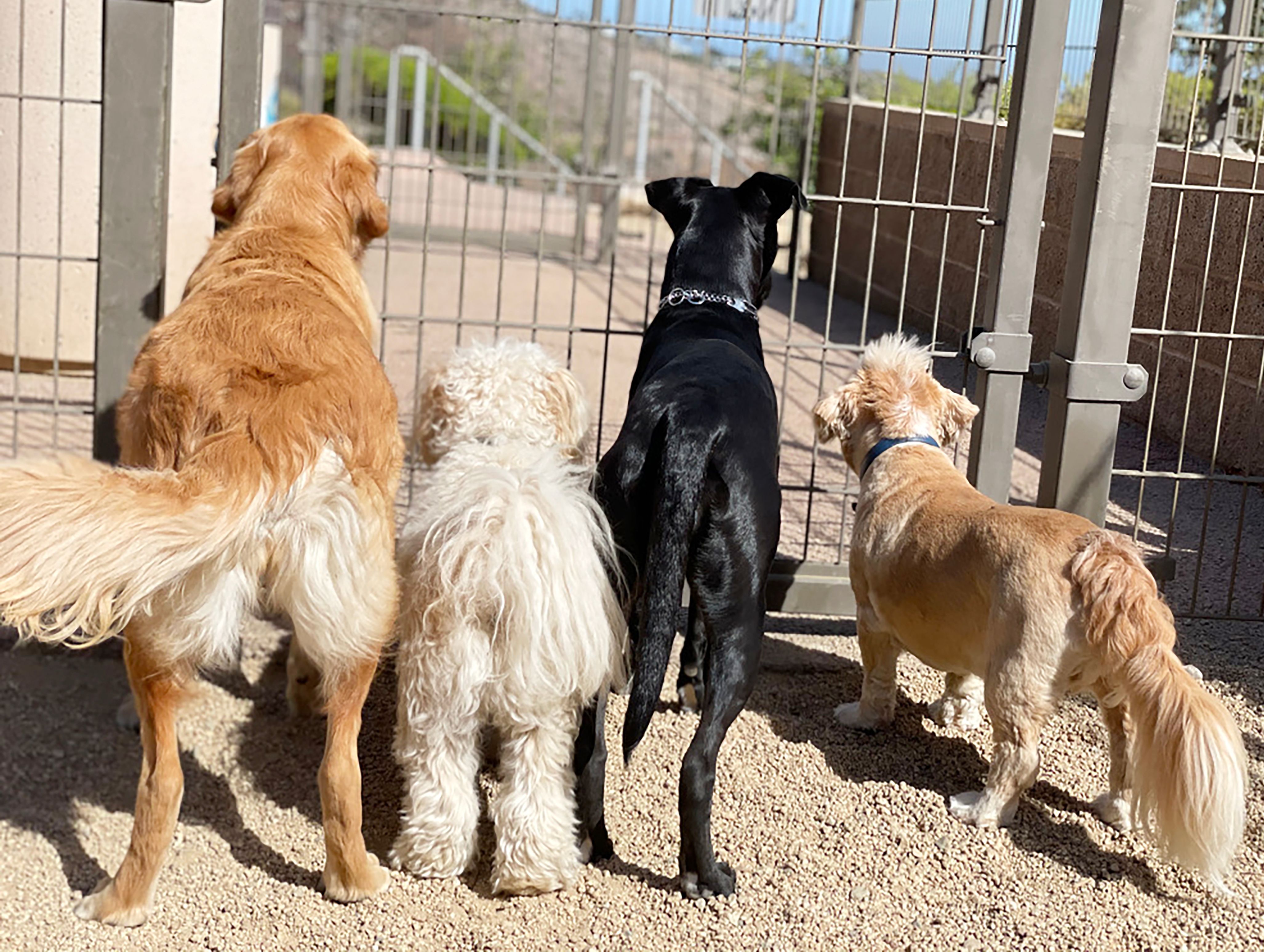 Waiting at the gate, Ca Waiting at the gate, Ca