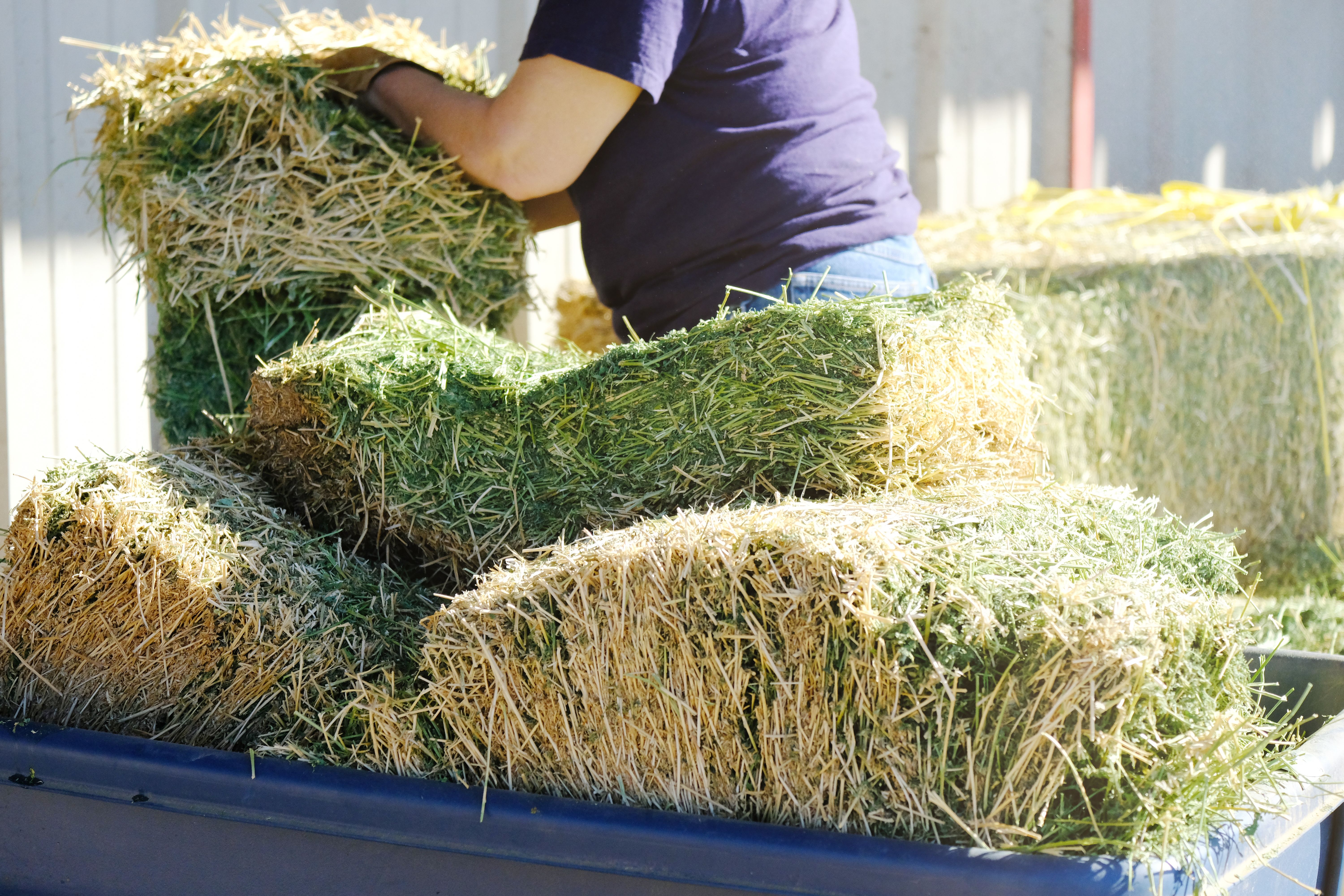 hay storage techniques