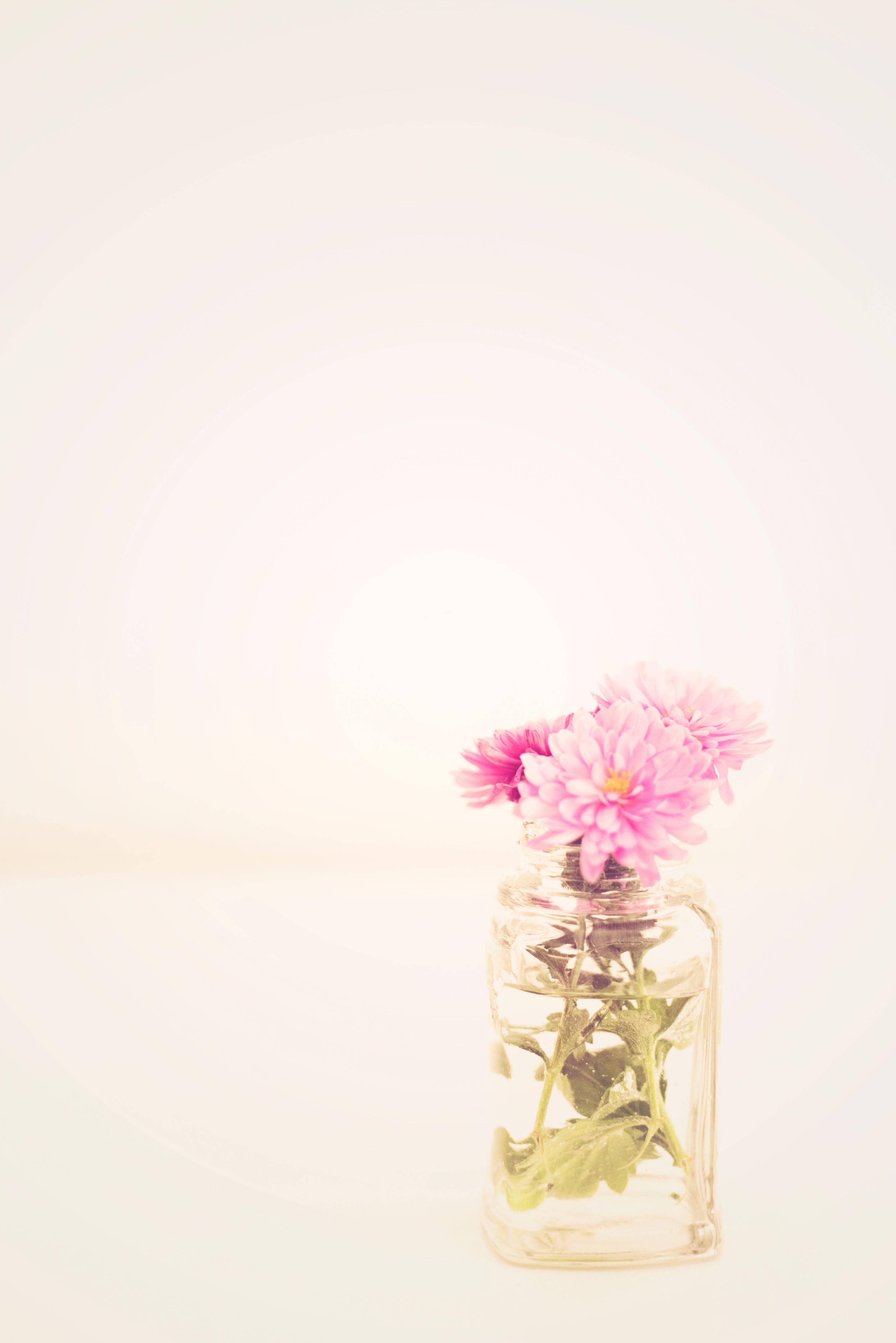 tinting certification