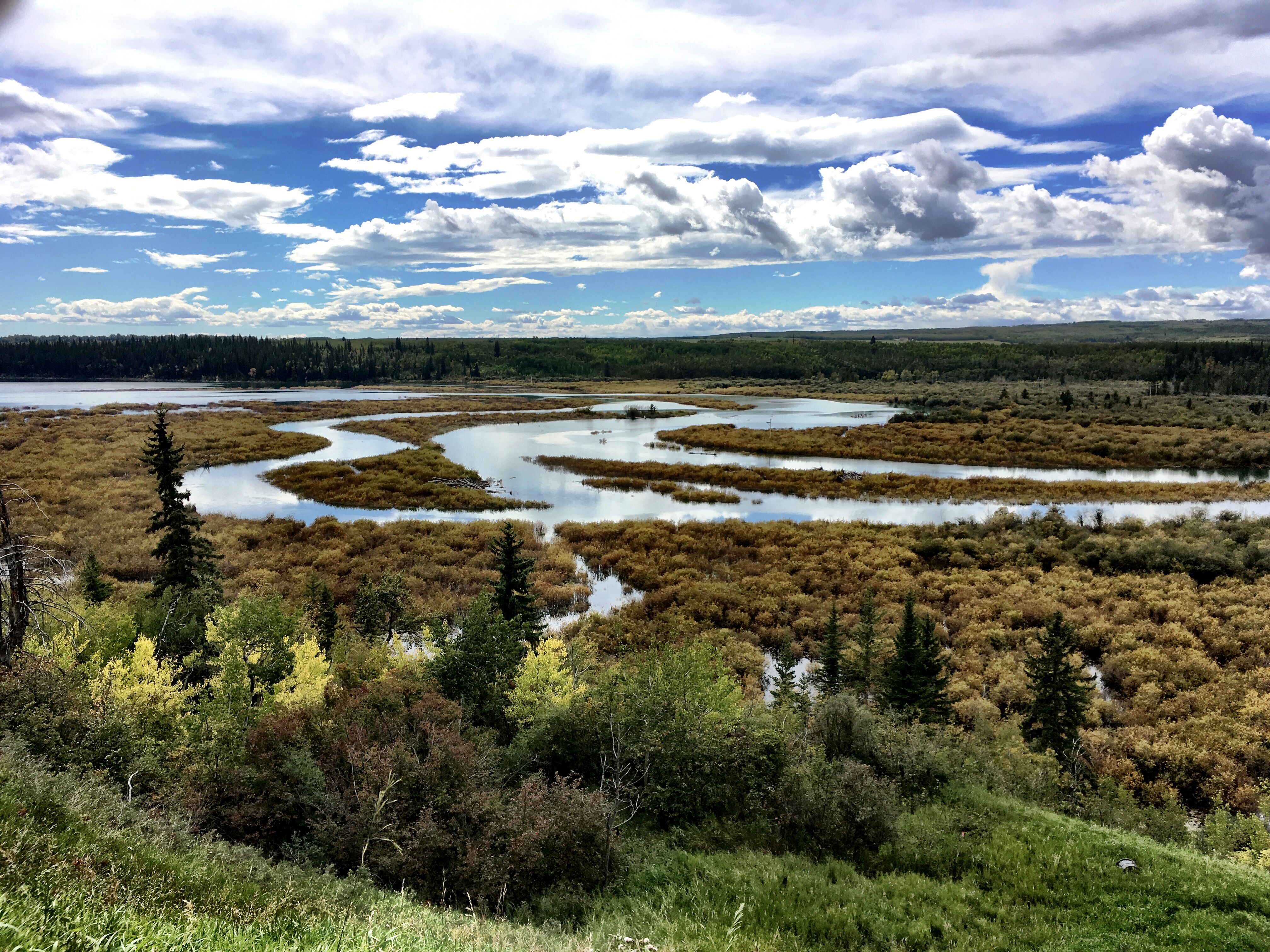 wetlands Alberta