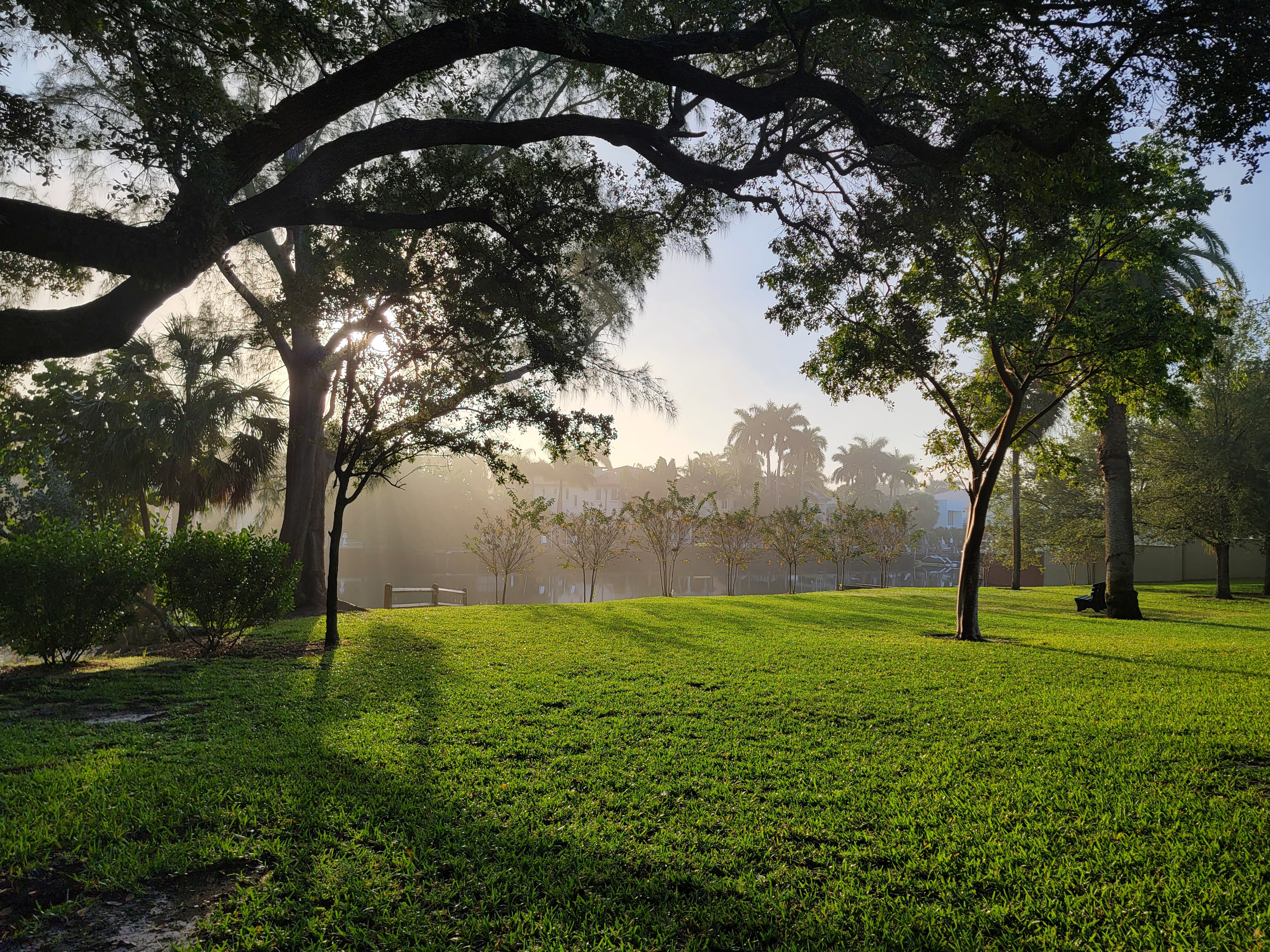 broward county community