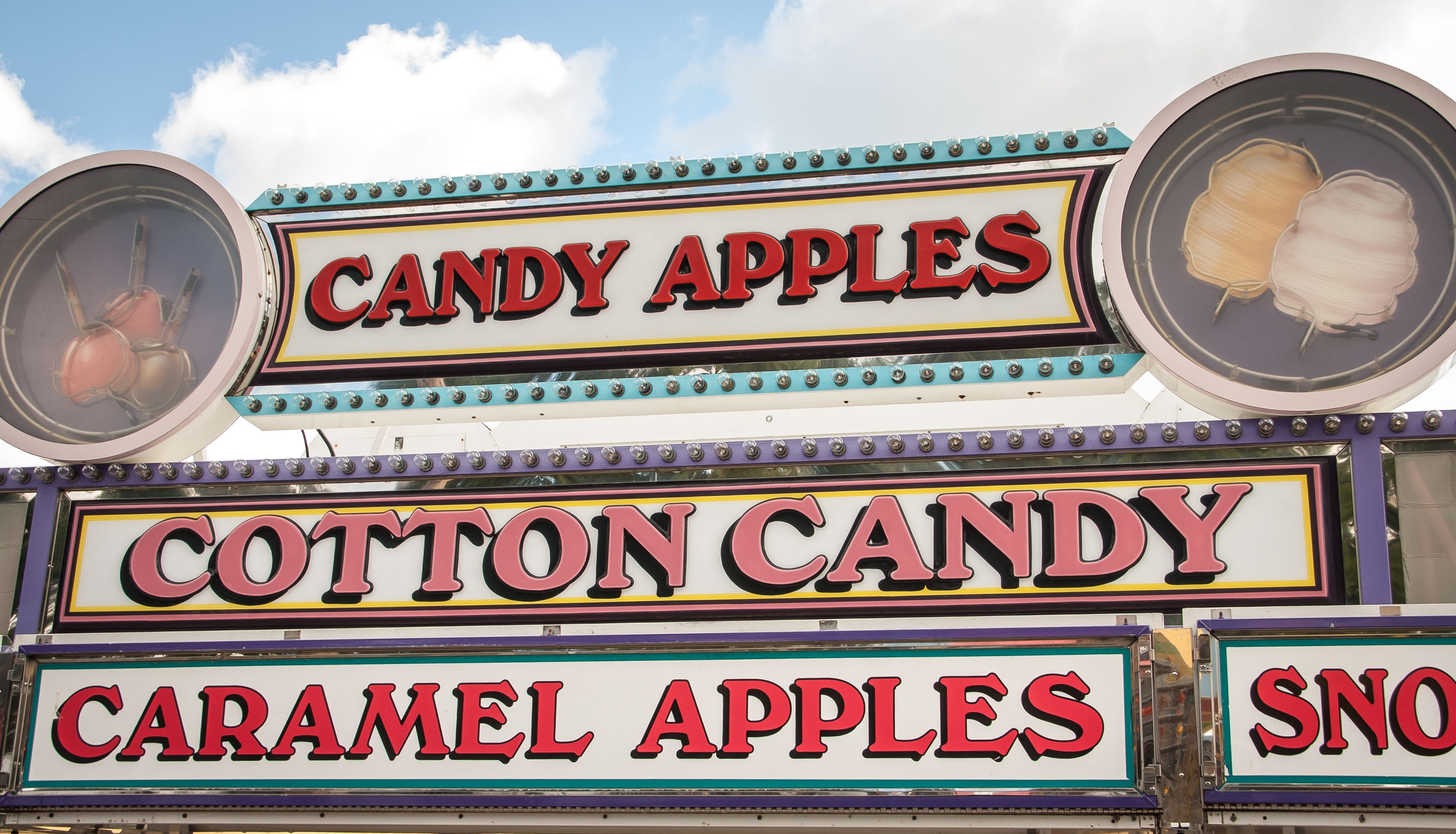 maine dinosaur festival