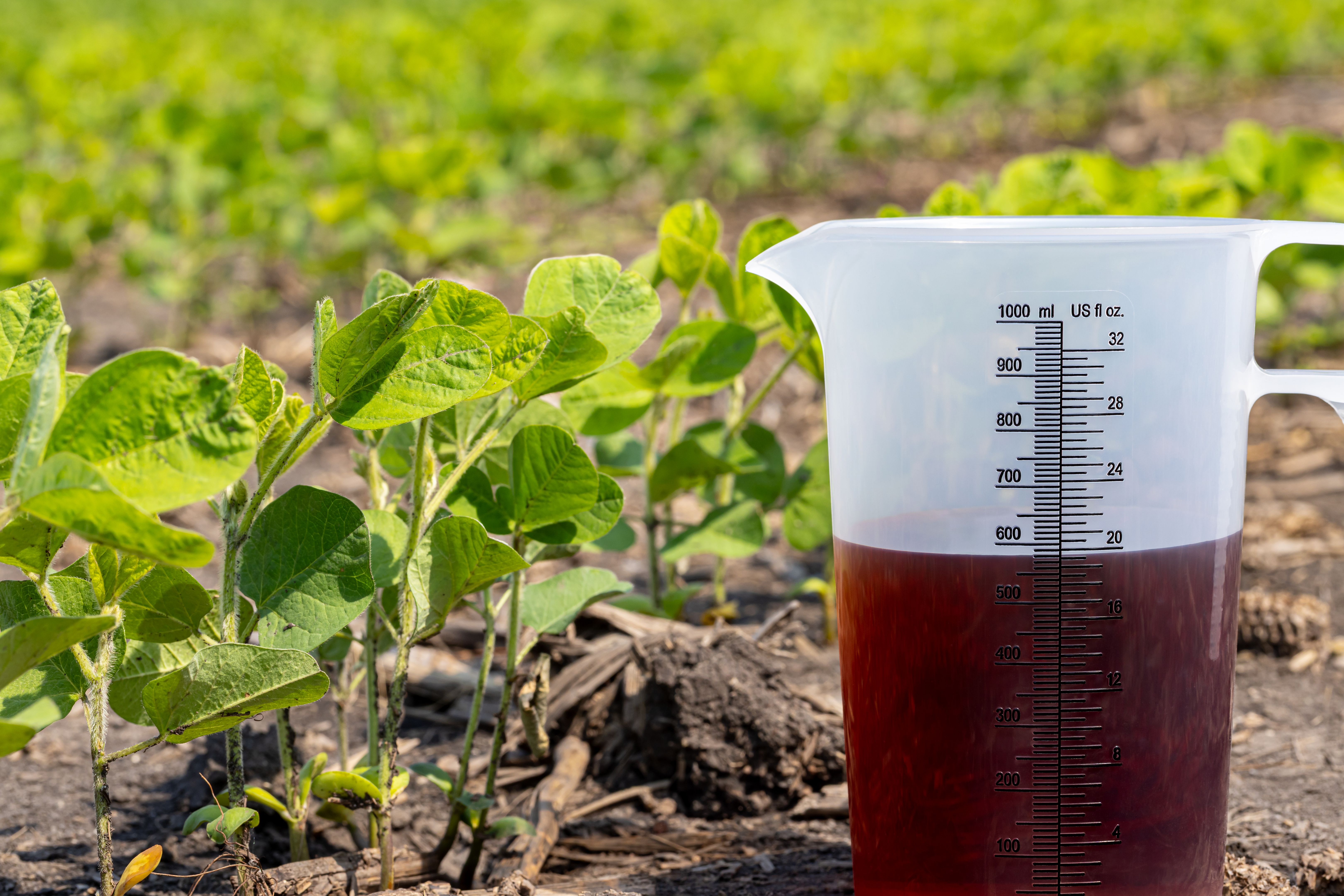 pest control license