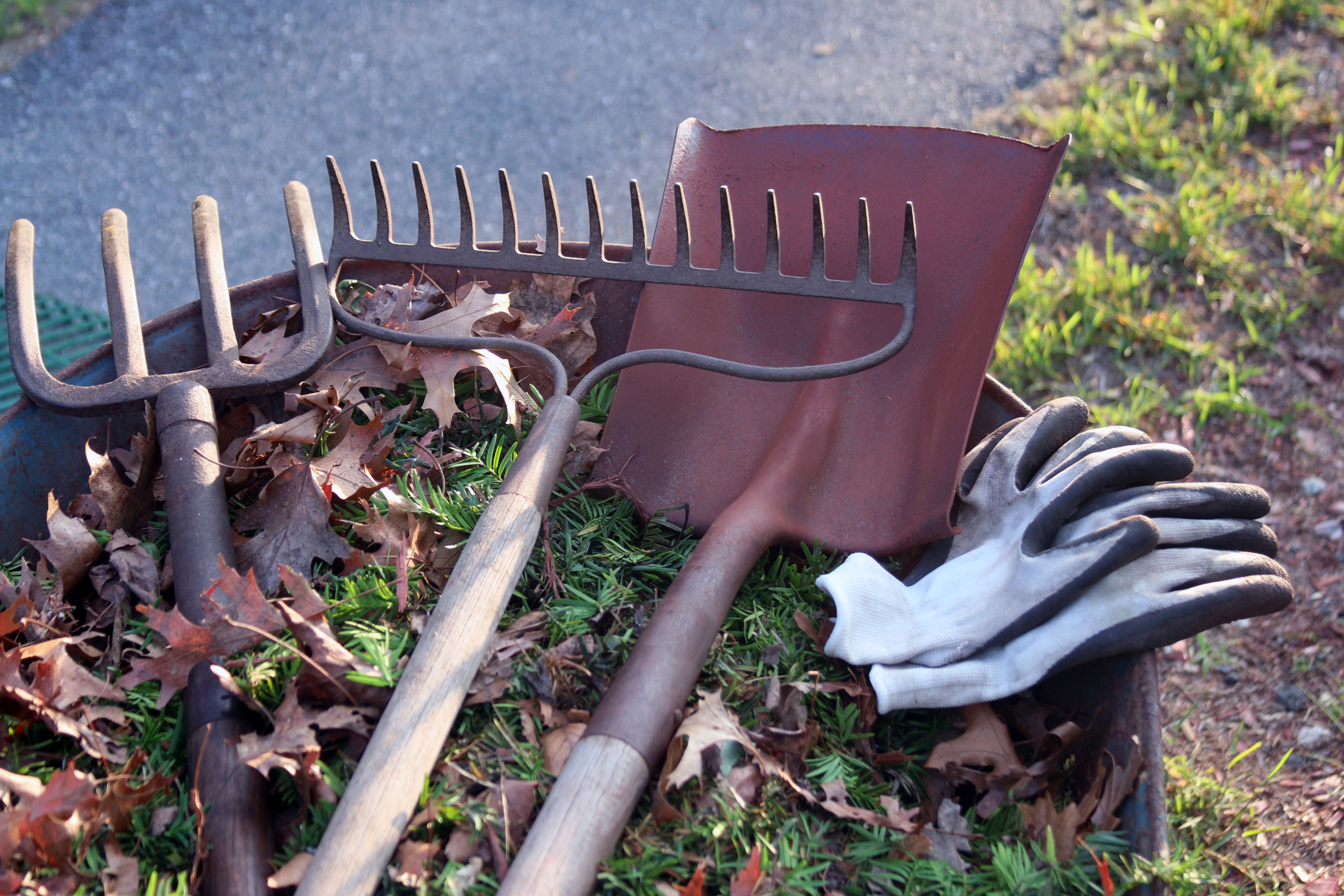 garden maintenance