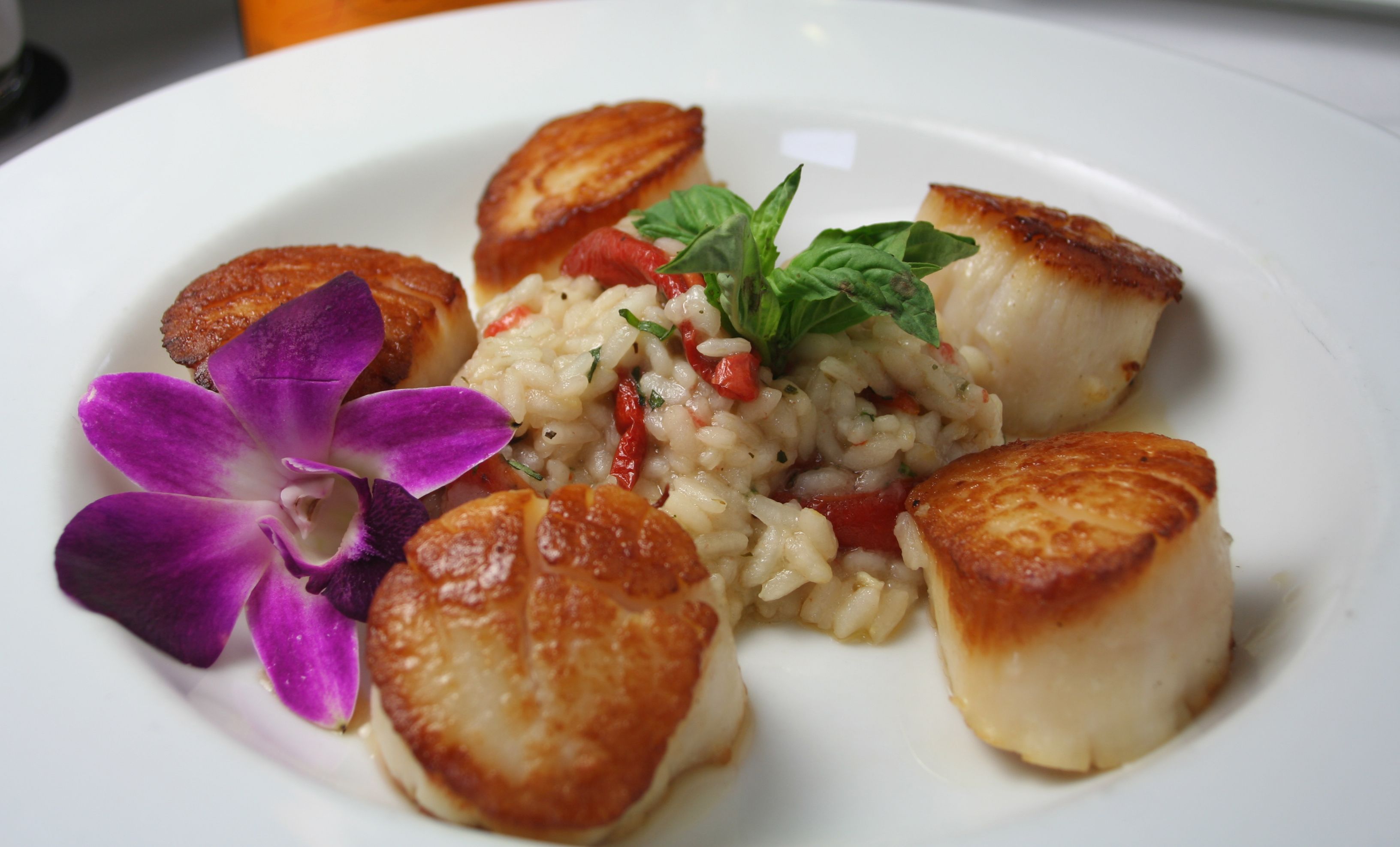 pan-seared scallops