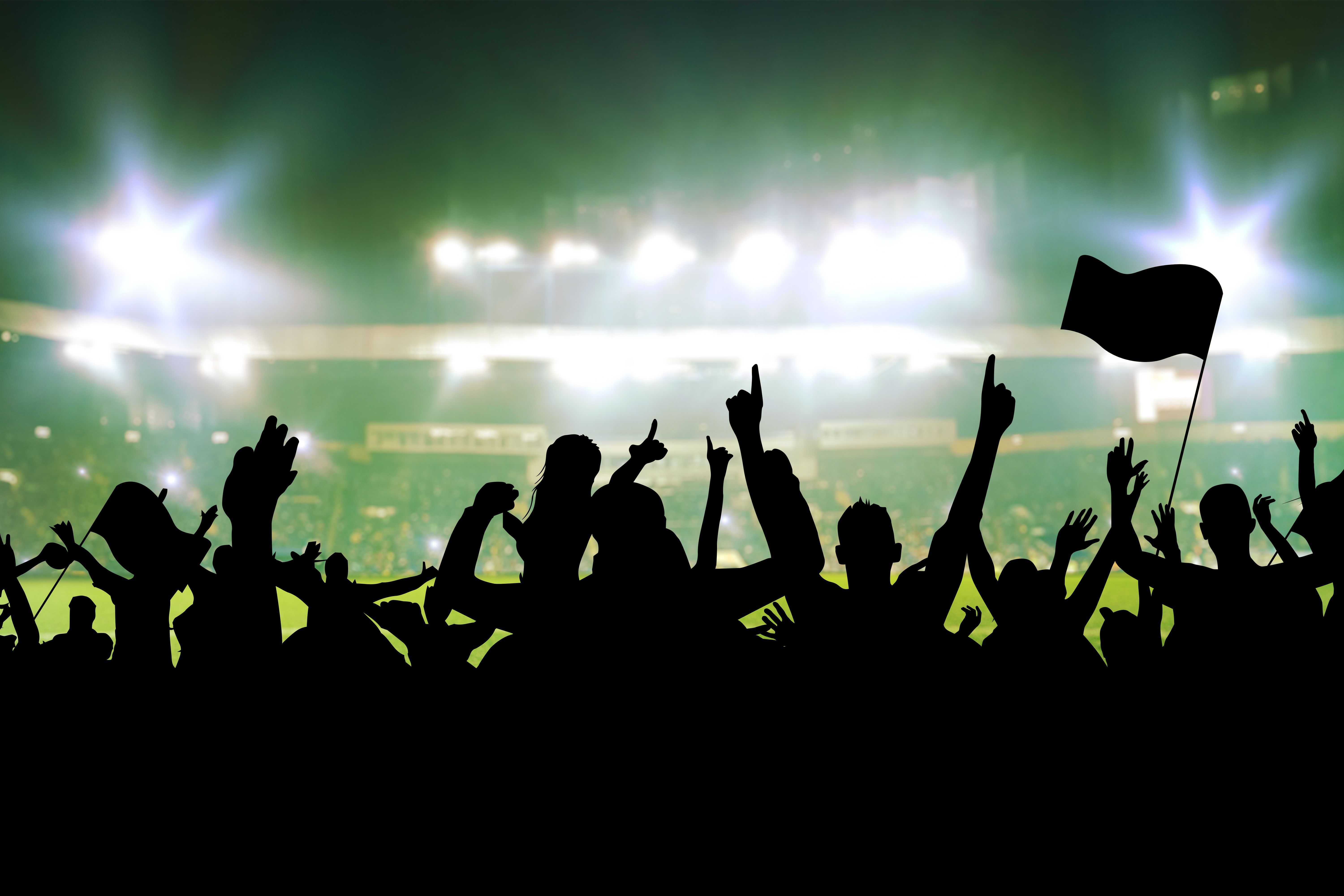 football fans cheering