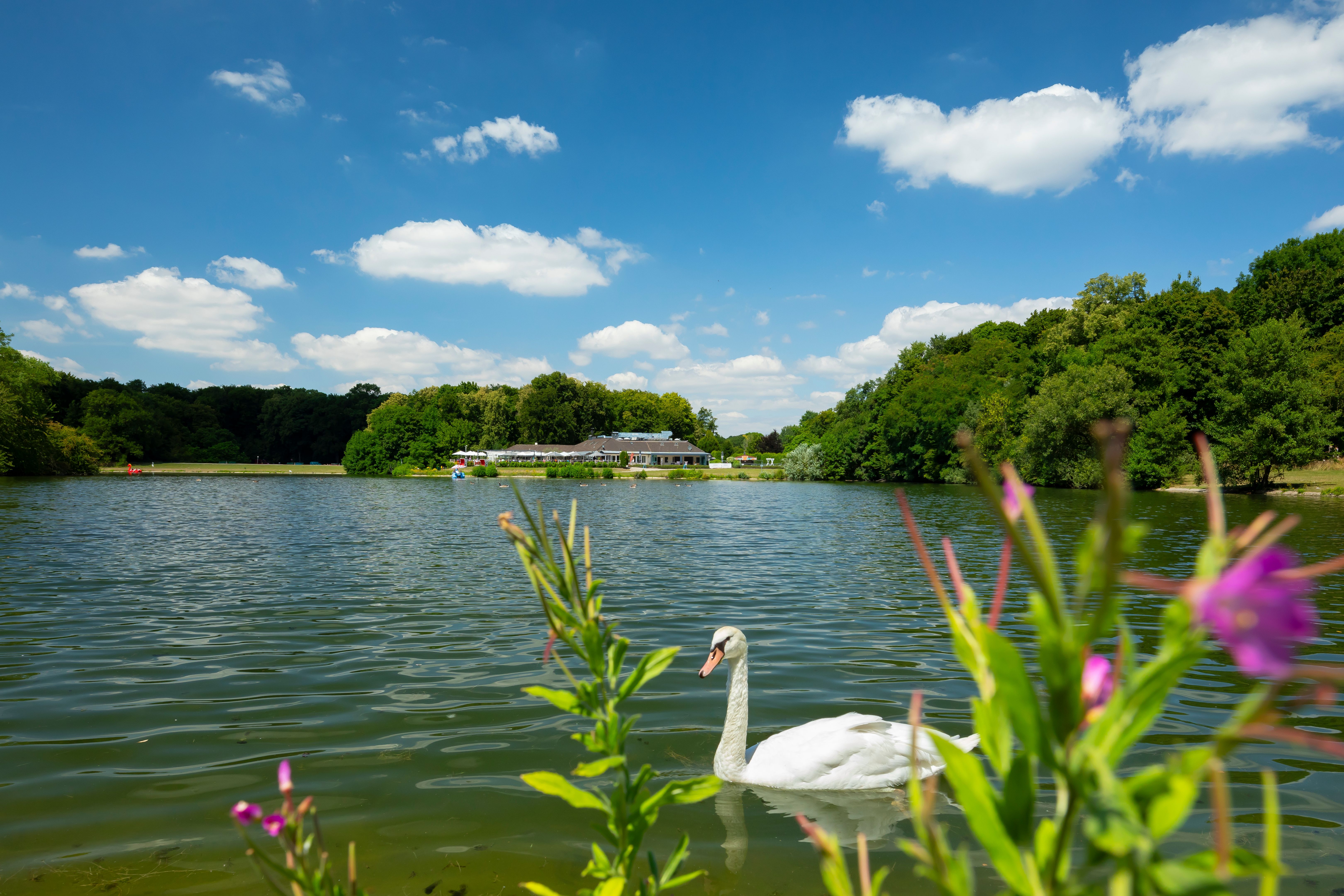 Cologne nature