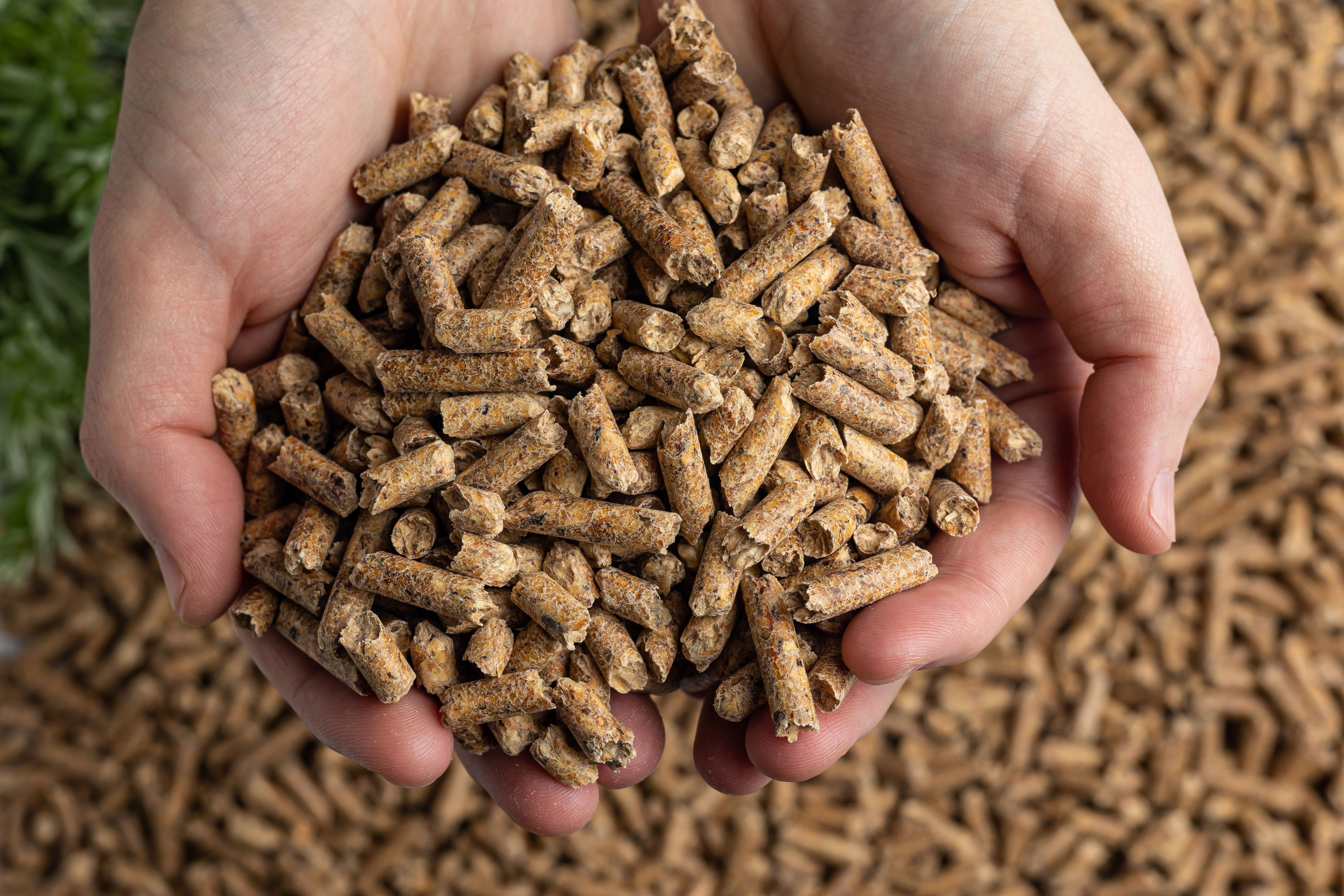 Production of wood pellets.