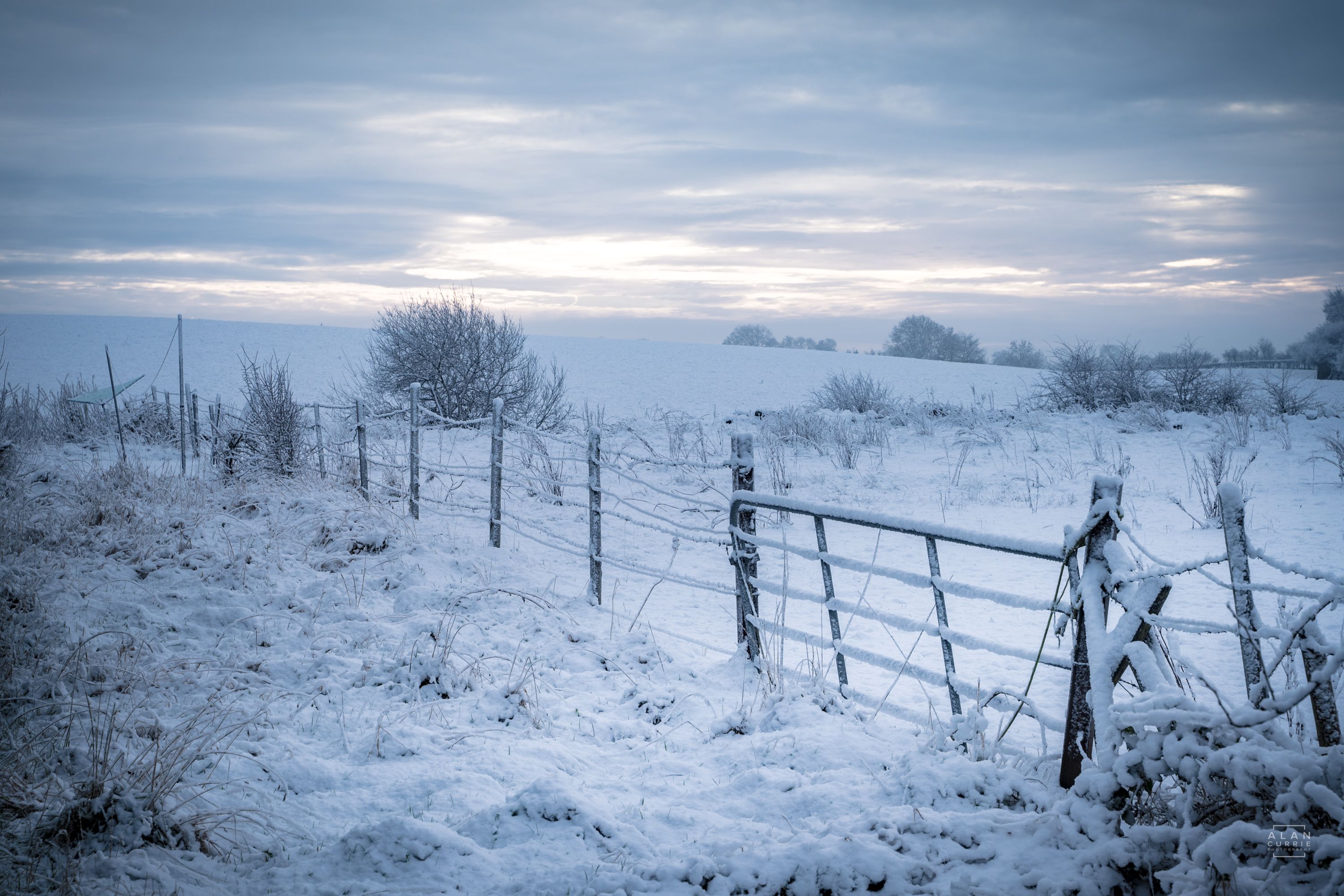 Snow scene landscape of gate and field