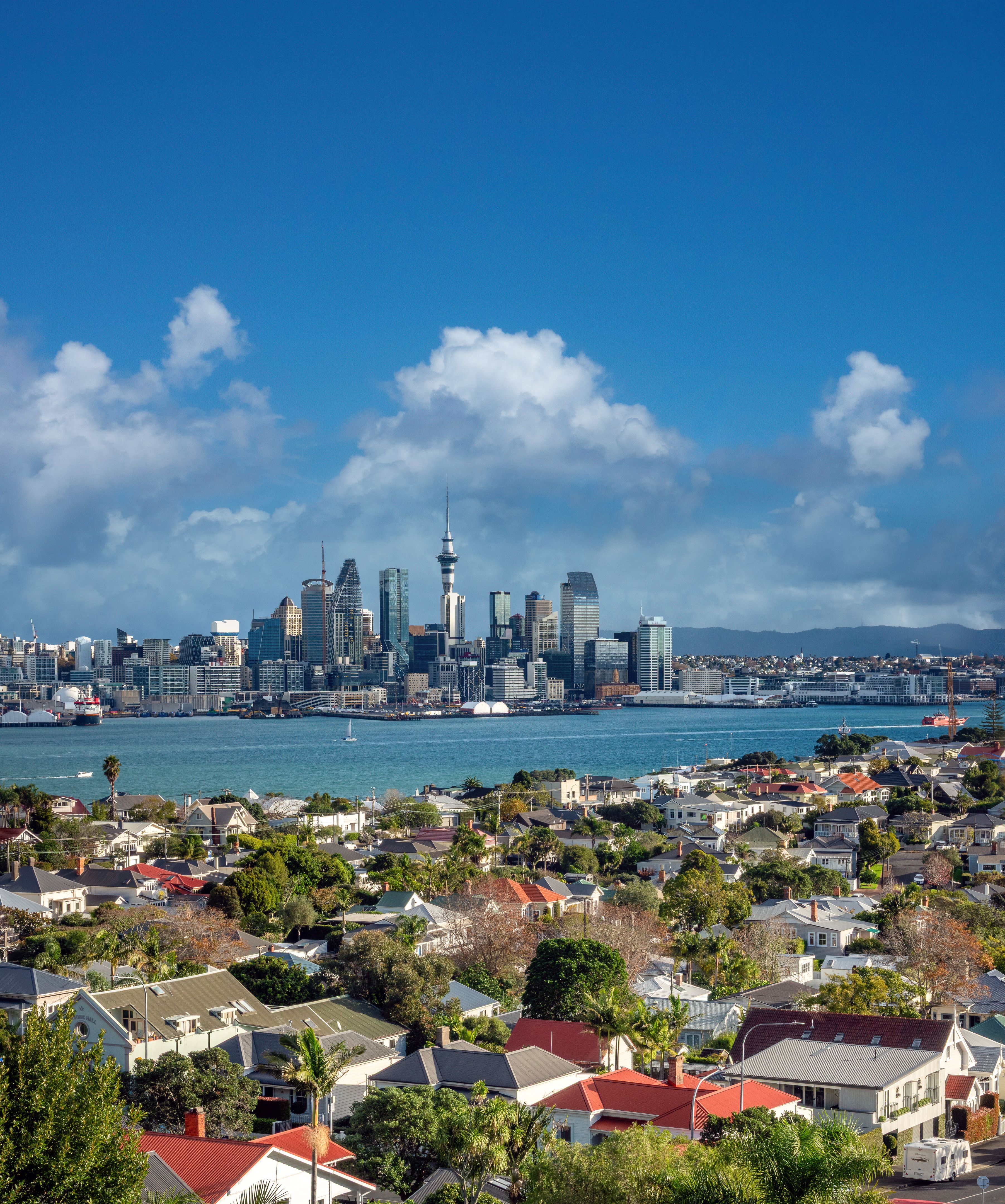 auckland skyline