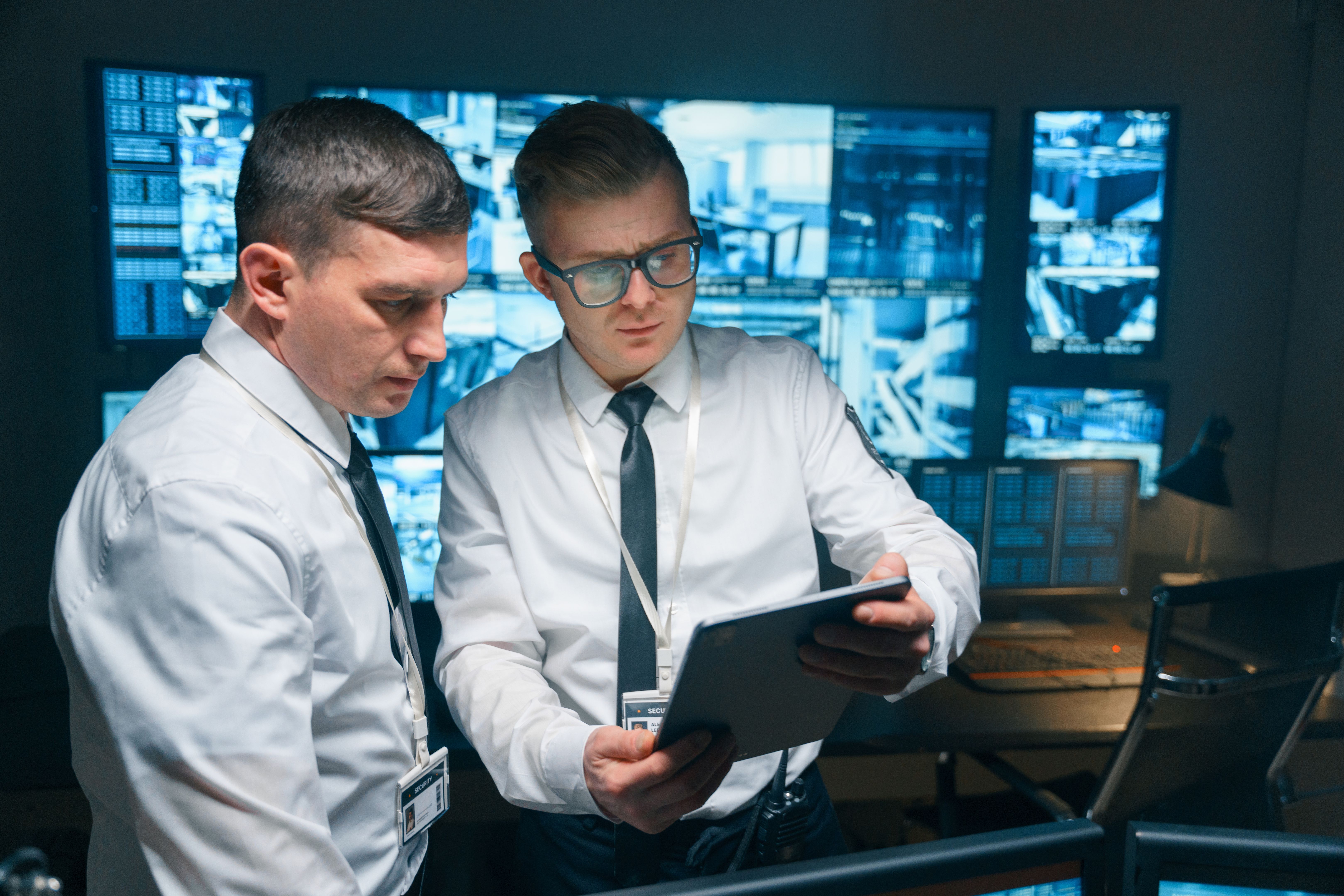 professional security assessment