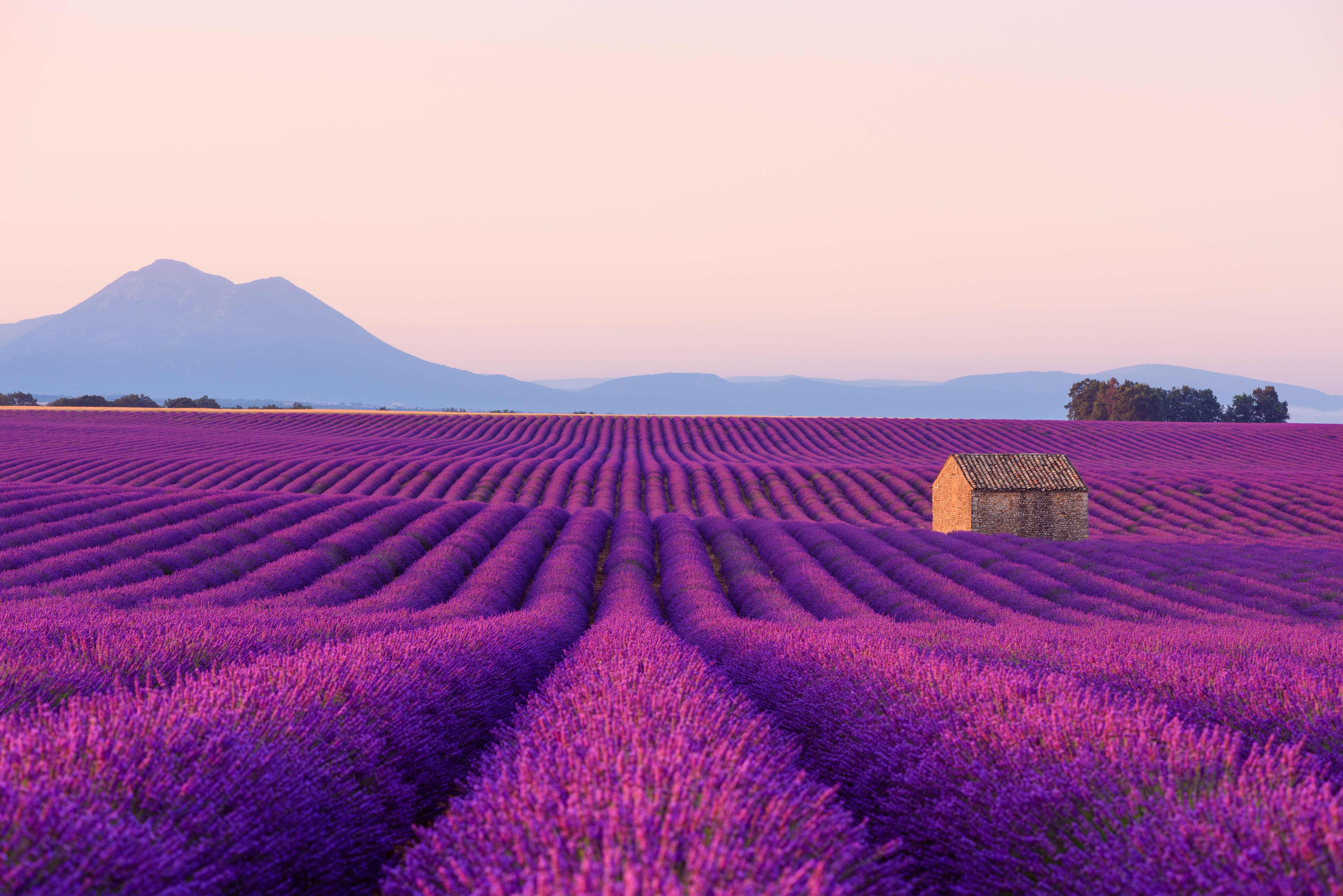 provence travel