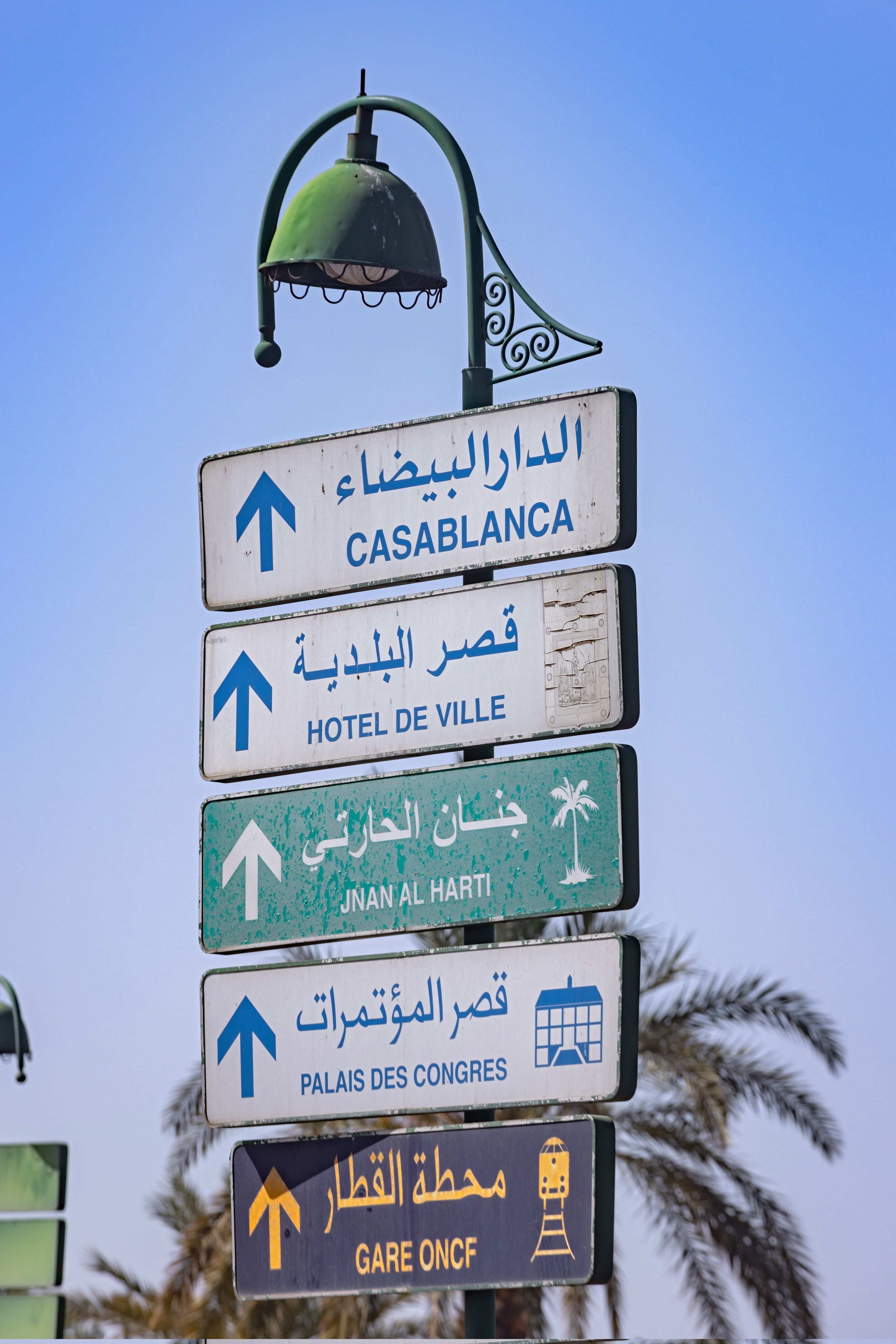 marrakesh conference