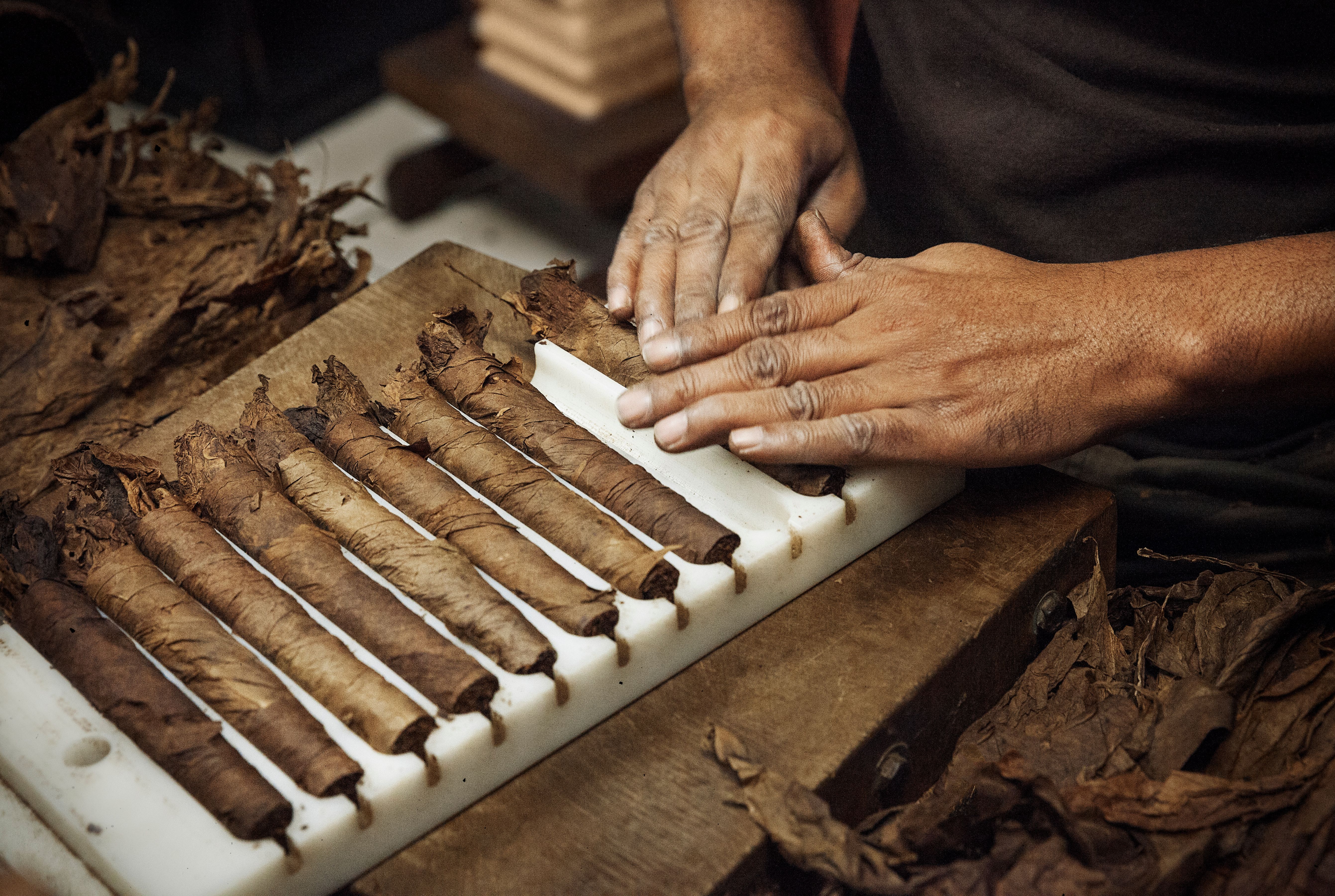 cigar production