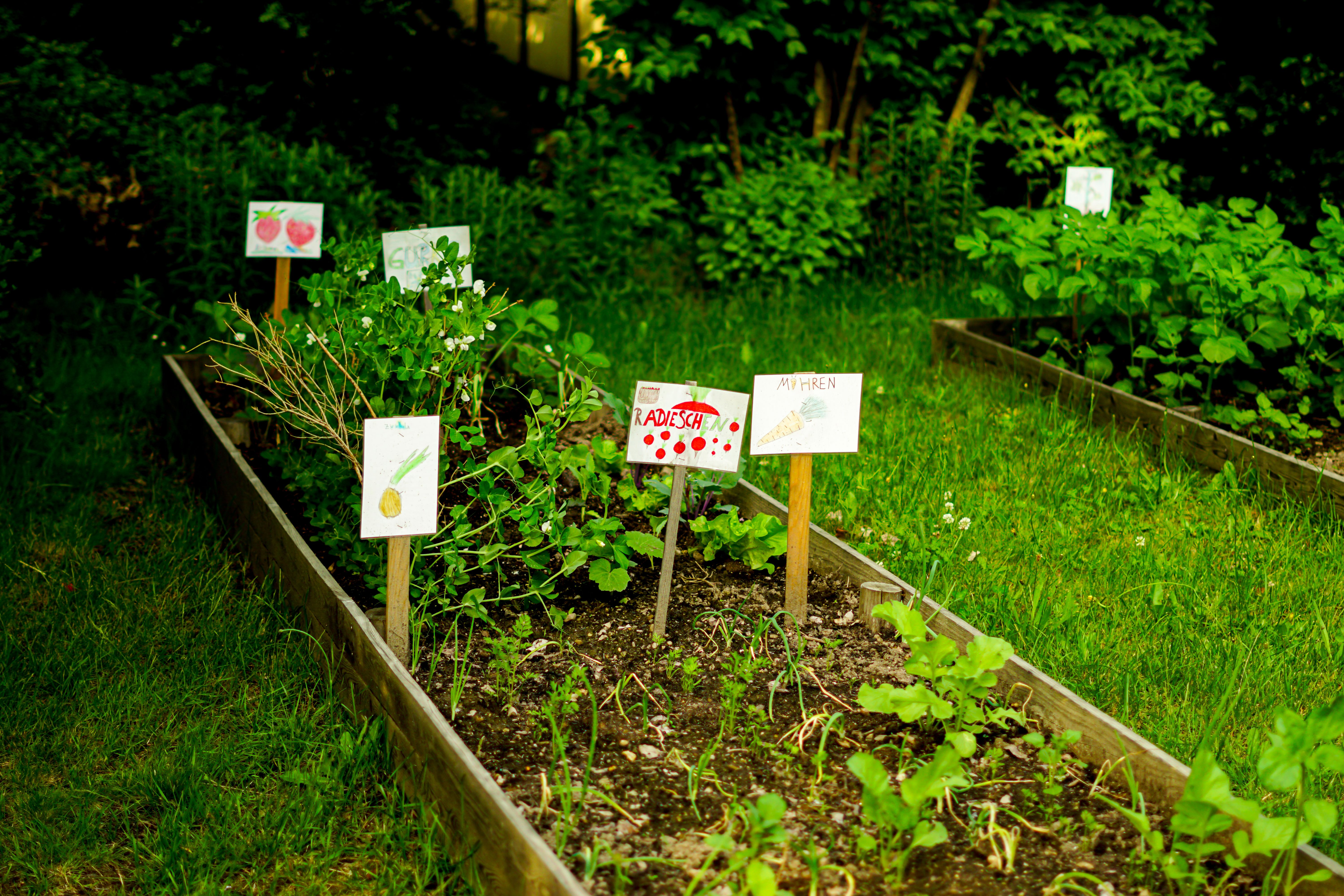 school garden location