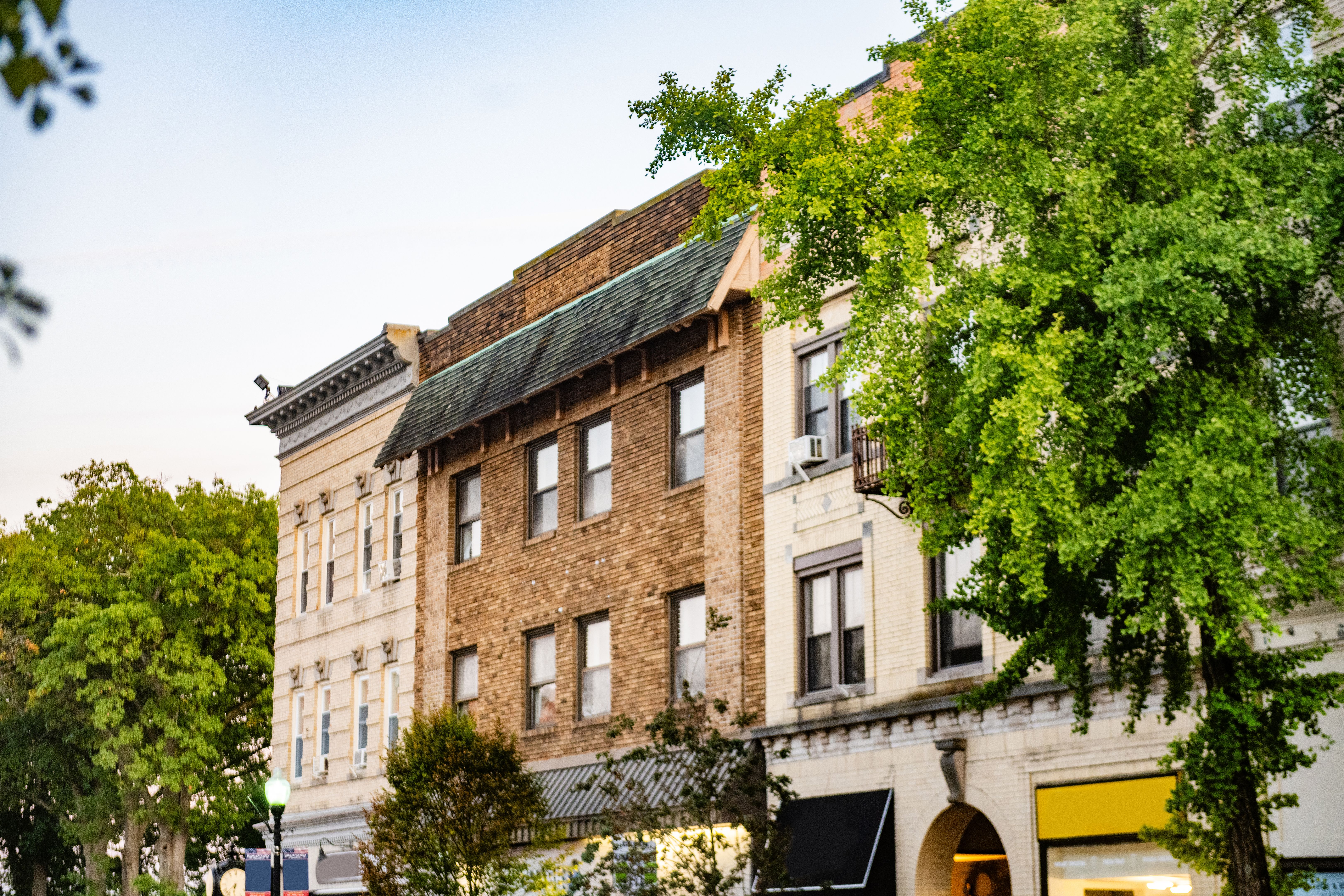 local businesses Queens