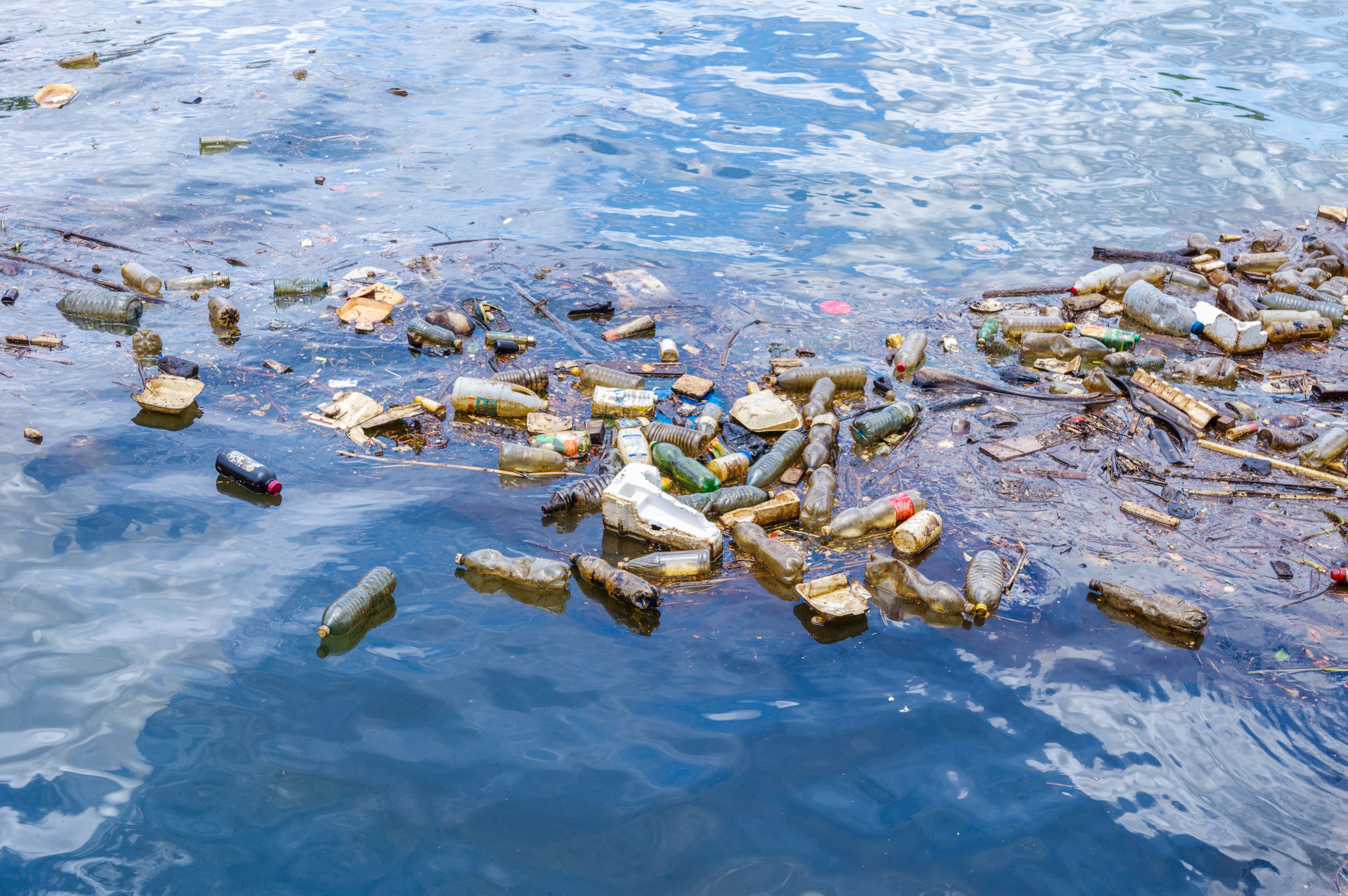 water pollution