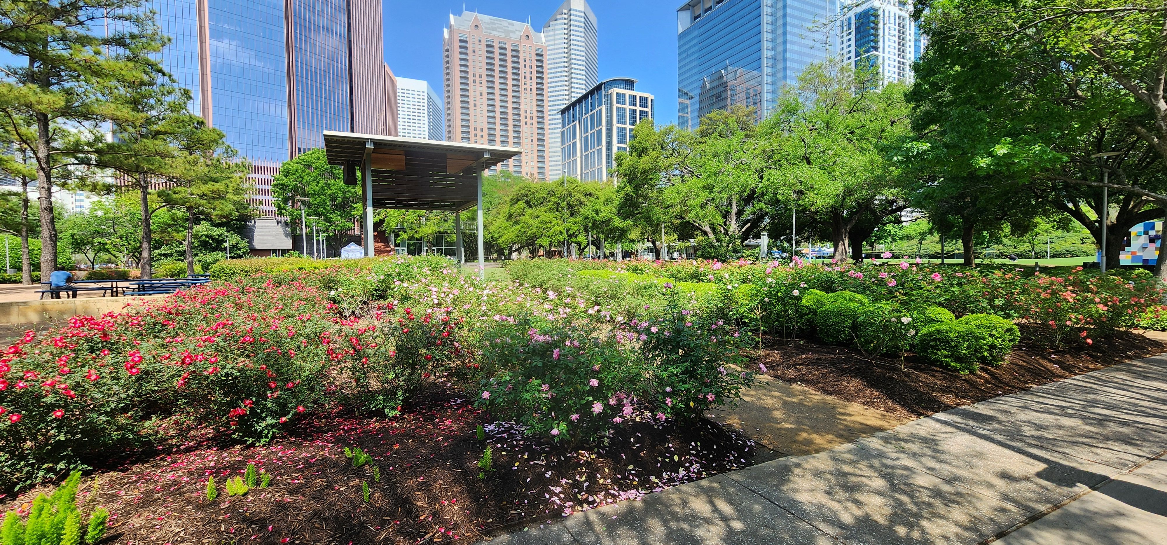 spring houston
