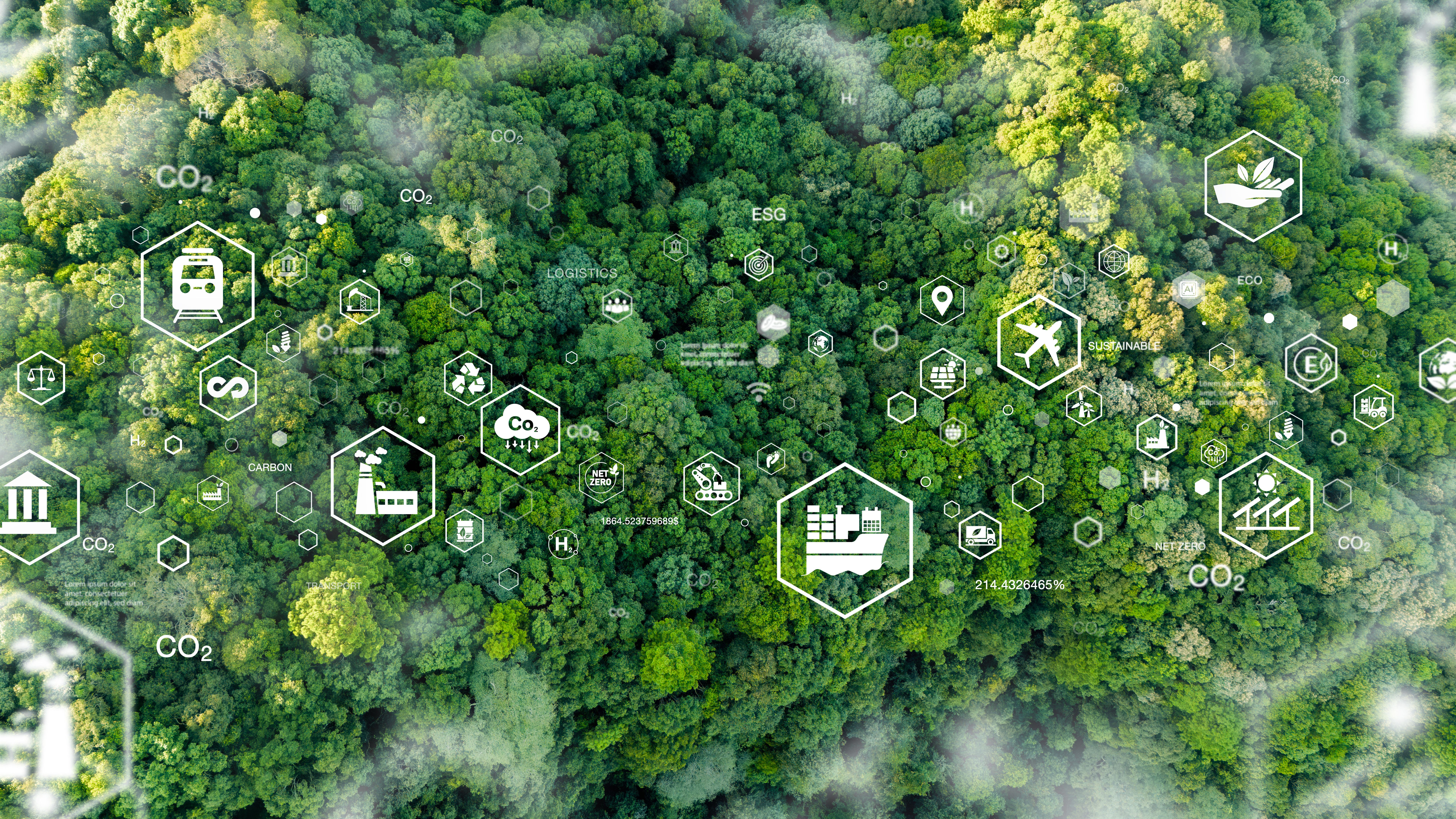 carbon offsetting aviation
