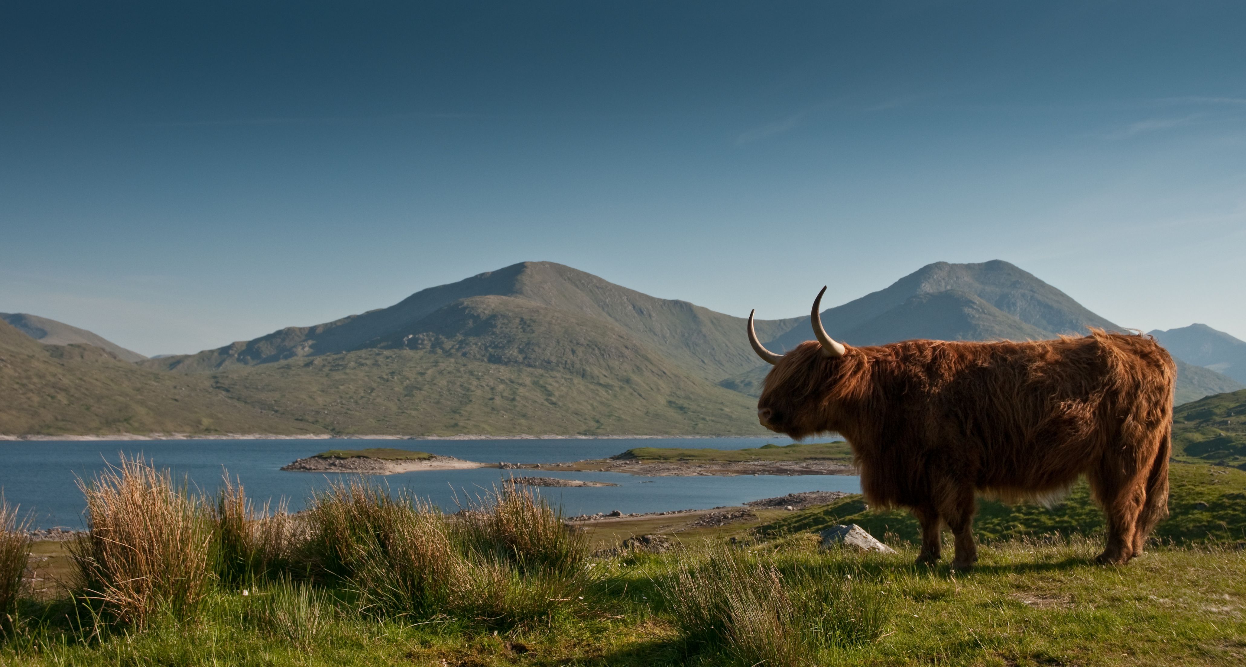 Real Highlander