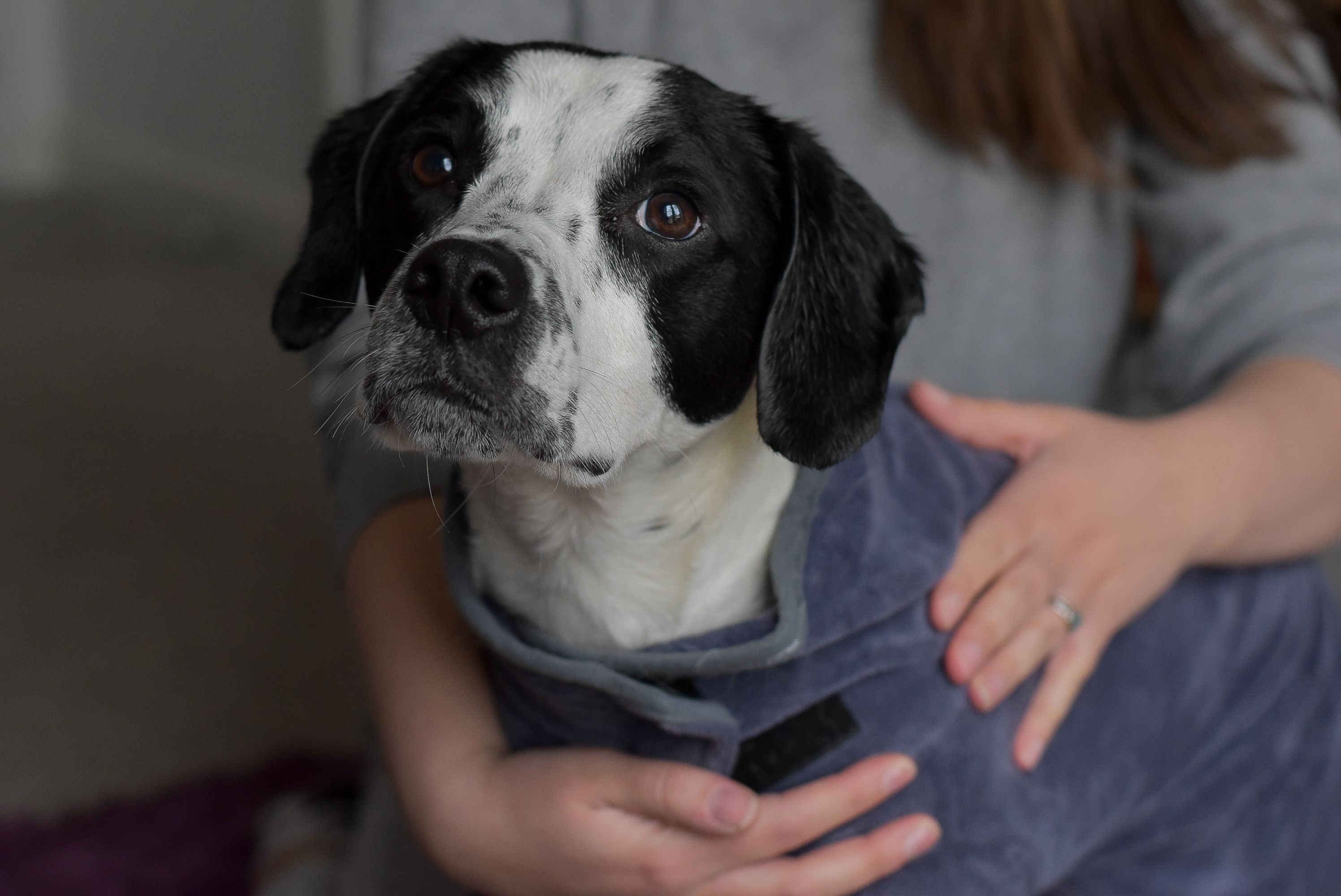 Drying after a bath Drying after a bath